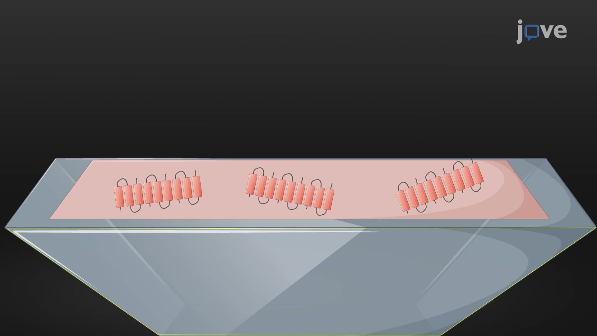 A Fourier Transform Infrared Spectroscopy Technique to Study Peptide Self-Assembly