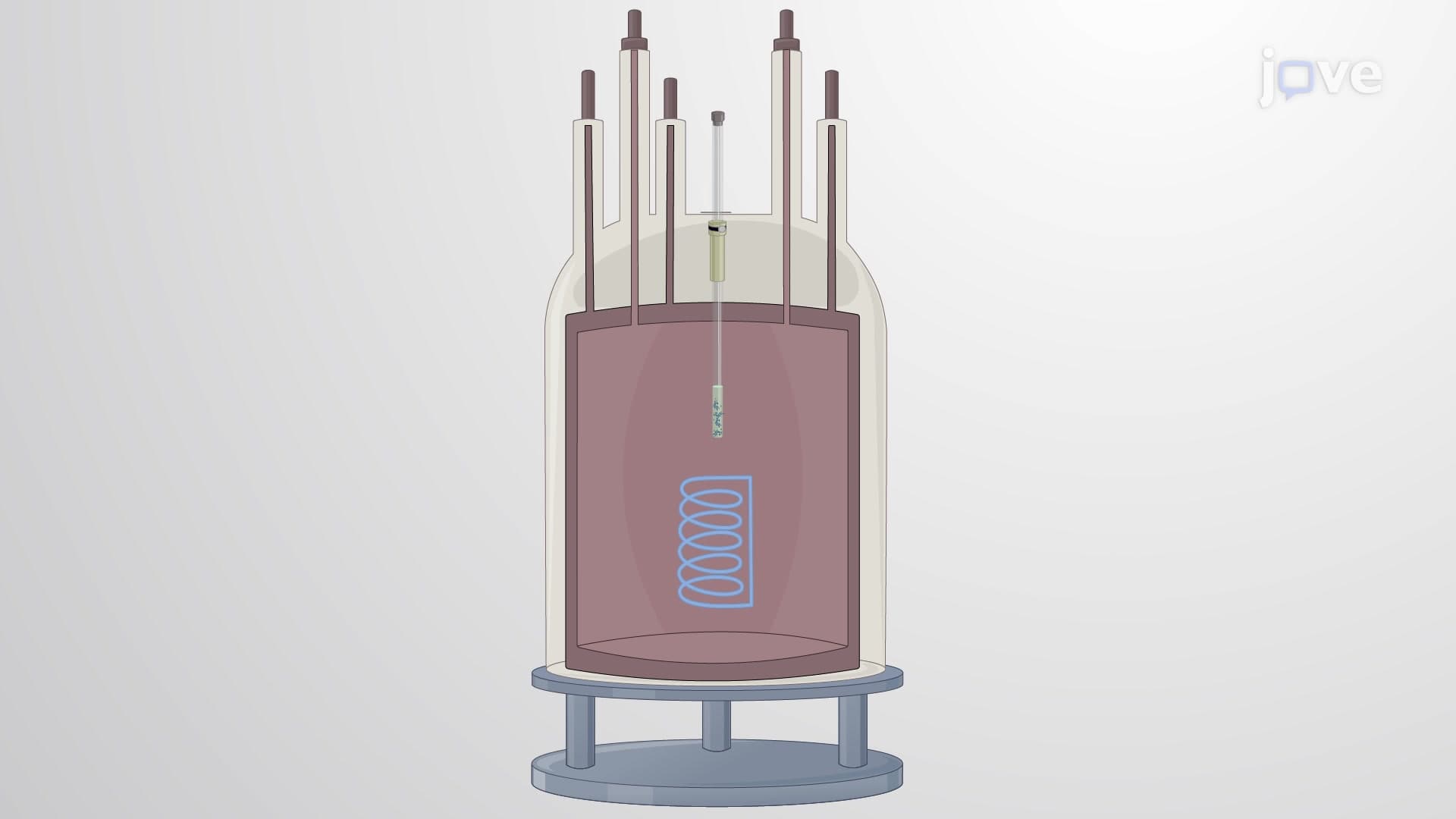 Nuclear Magnetic Resonance Spectroscopy to Identify Multiple Phosphorylations in Proteins