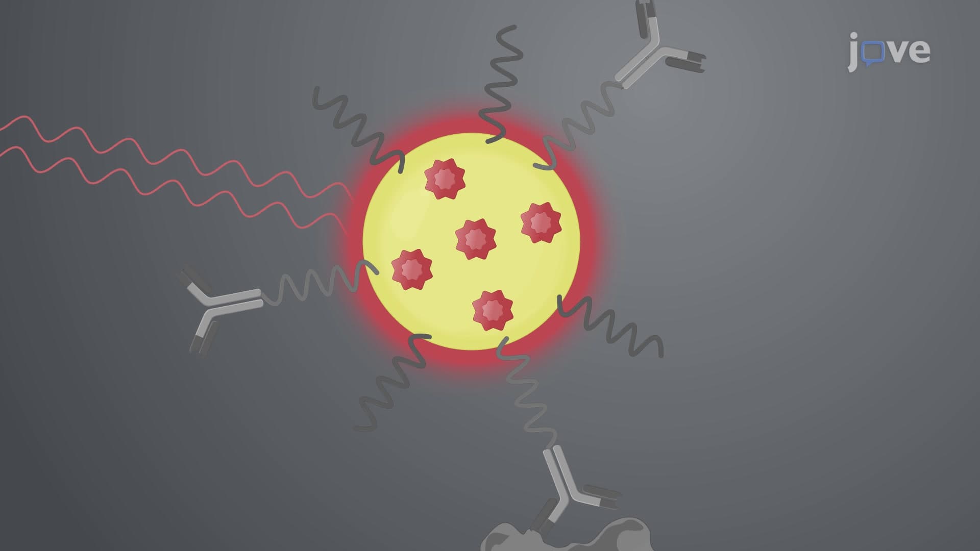 A Raman Spectroscopy-Based Direct Immunoassay to Detect a Specific Antigen