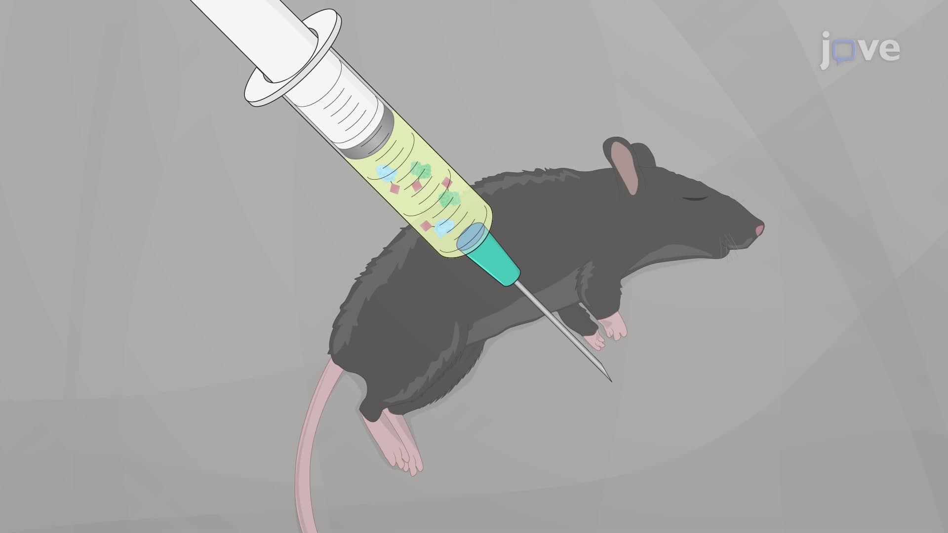 Evaluation of Vaccine-Induced Immunity Against Bacterial Infection in a Mouse Model