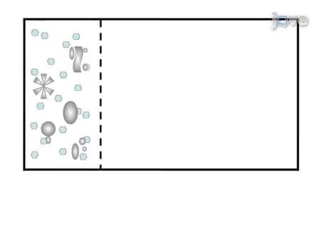 Blue Native Polyacrylamide Gel Electrophoresis BN-PAGE for Analysis of Multiprotein Complexes from Cellular Lysates