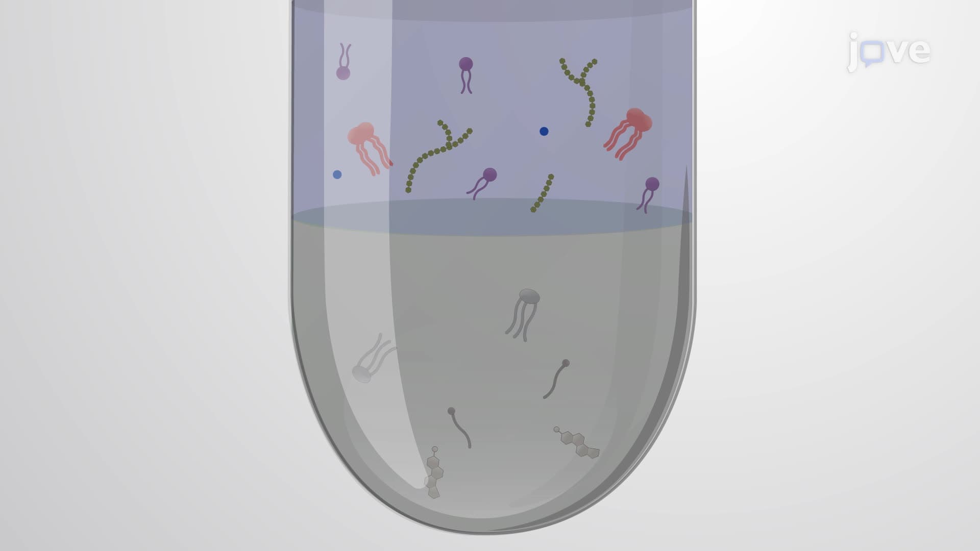 Isolation of Lipids from Human Blood-Derived Neutrophils by Biphasic Separation