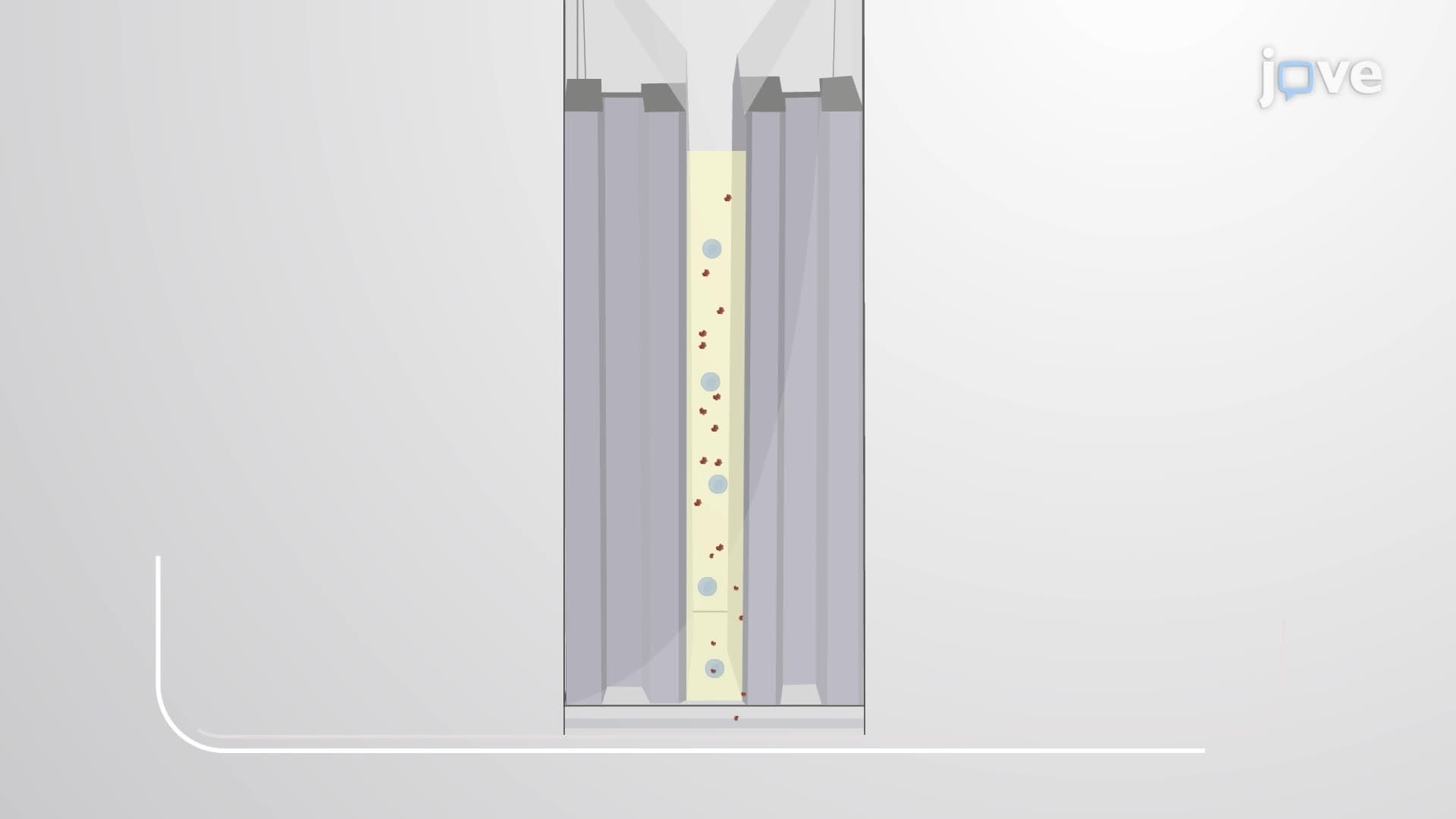 Introduction of Bacterial Effector Proteins into Mammalian Cells by Electroporation