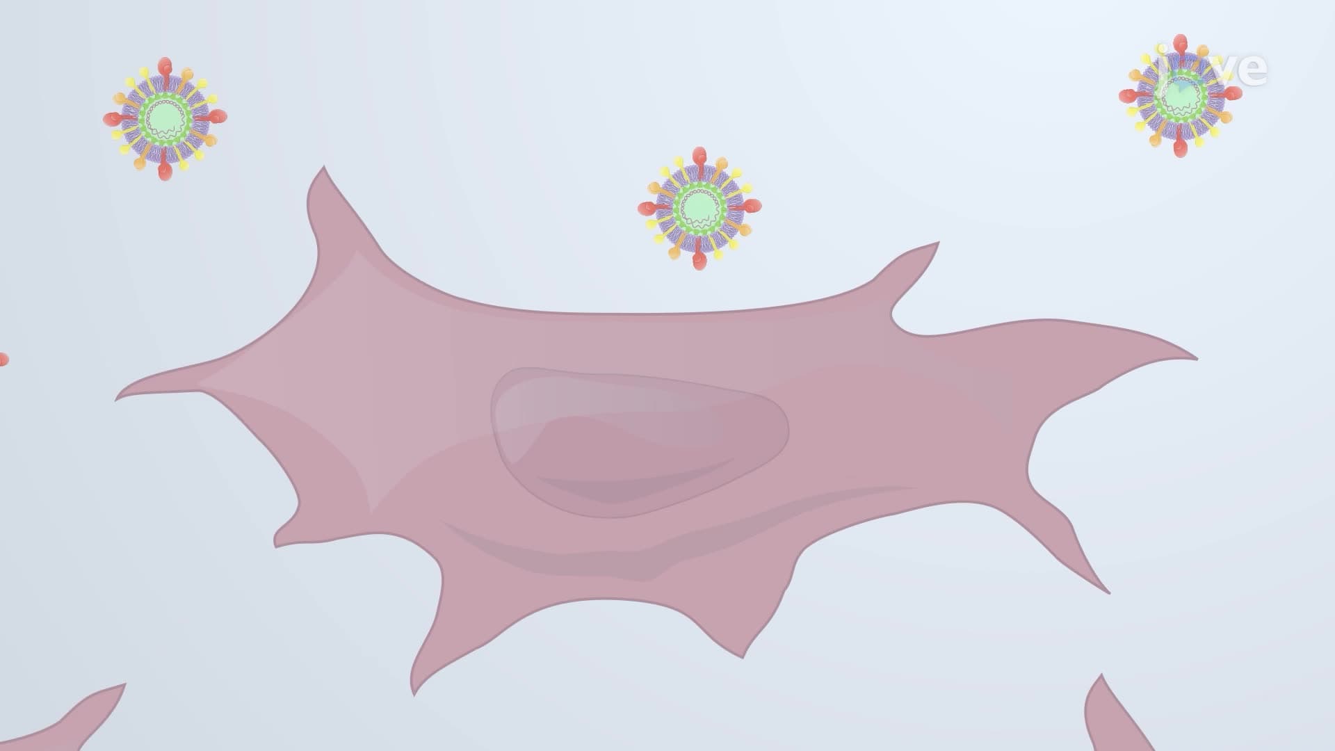 An In Vitro Recombinant Virus Reporter System for the Detection of Viral Infection