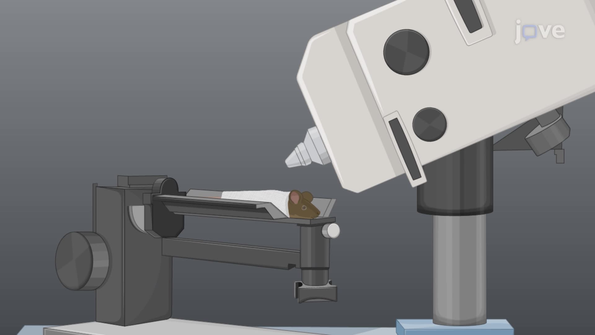 Optical Coherence Tomography Imaging for Assessing Uveitis in a Mouse Model
