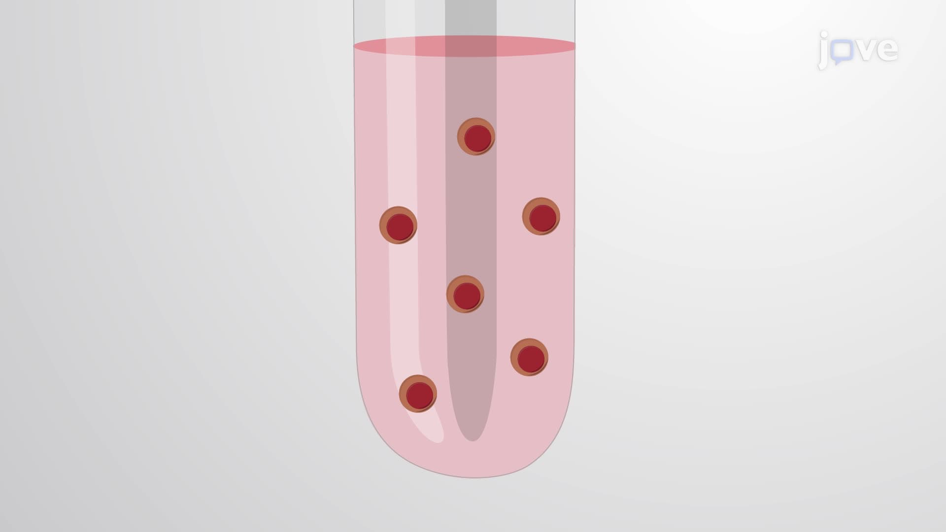 Evaluation of Stromal Cytokine-Induced Intracellular Protein Phosphorylation Using Phospho-Flow Cytometry