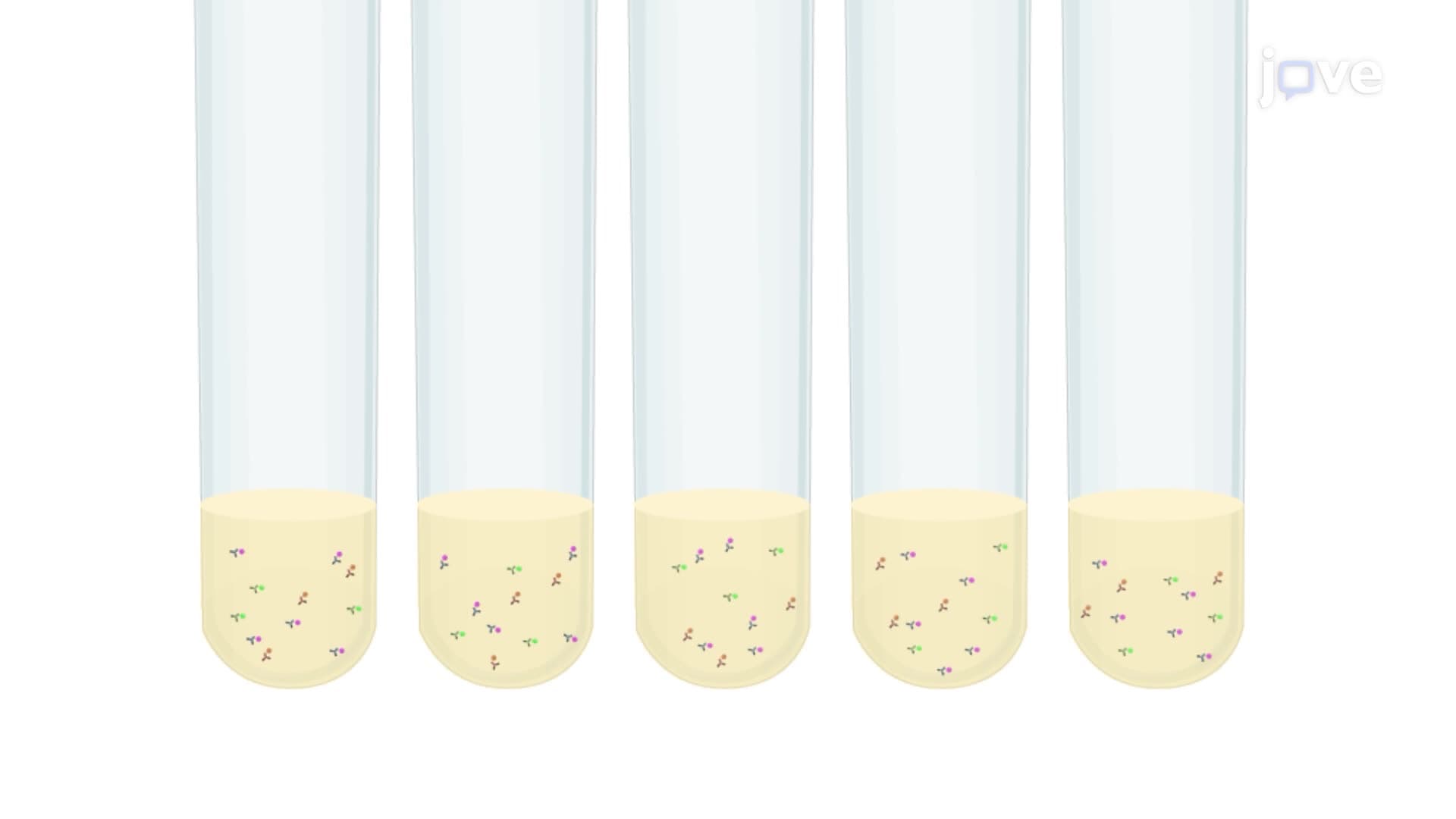 Analyzing Basophil Activation in the Presence of a Test Allergen using Flow Cytometry
