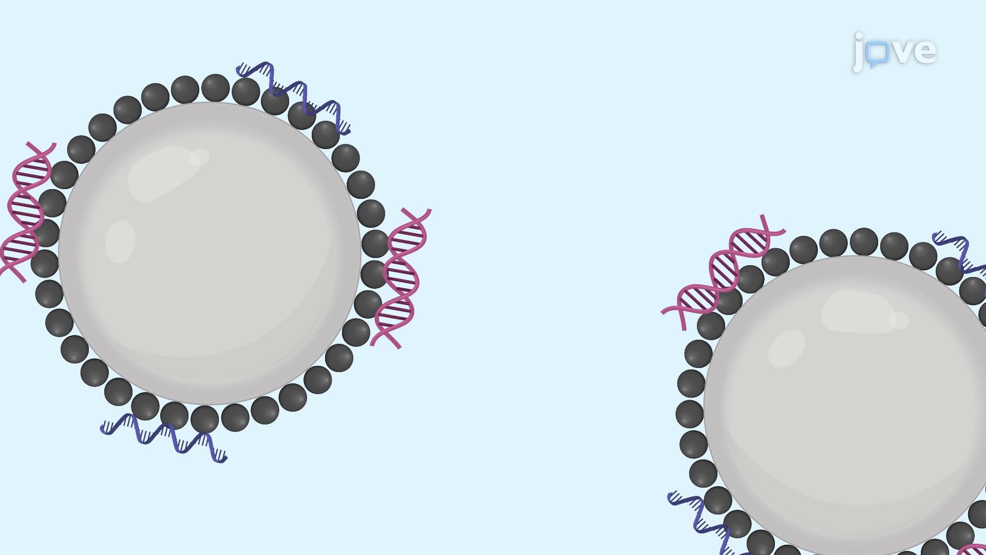 A Technique for Magnetic Glass Particle-Mediated Nucleic Acid Extraction from Blood
