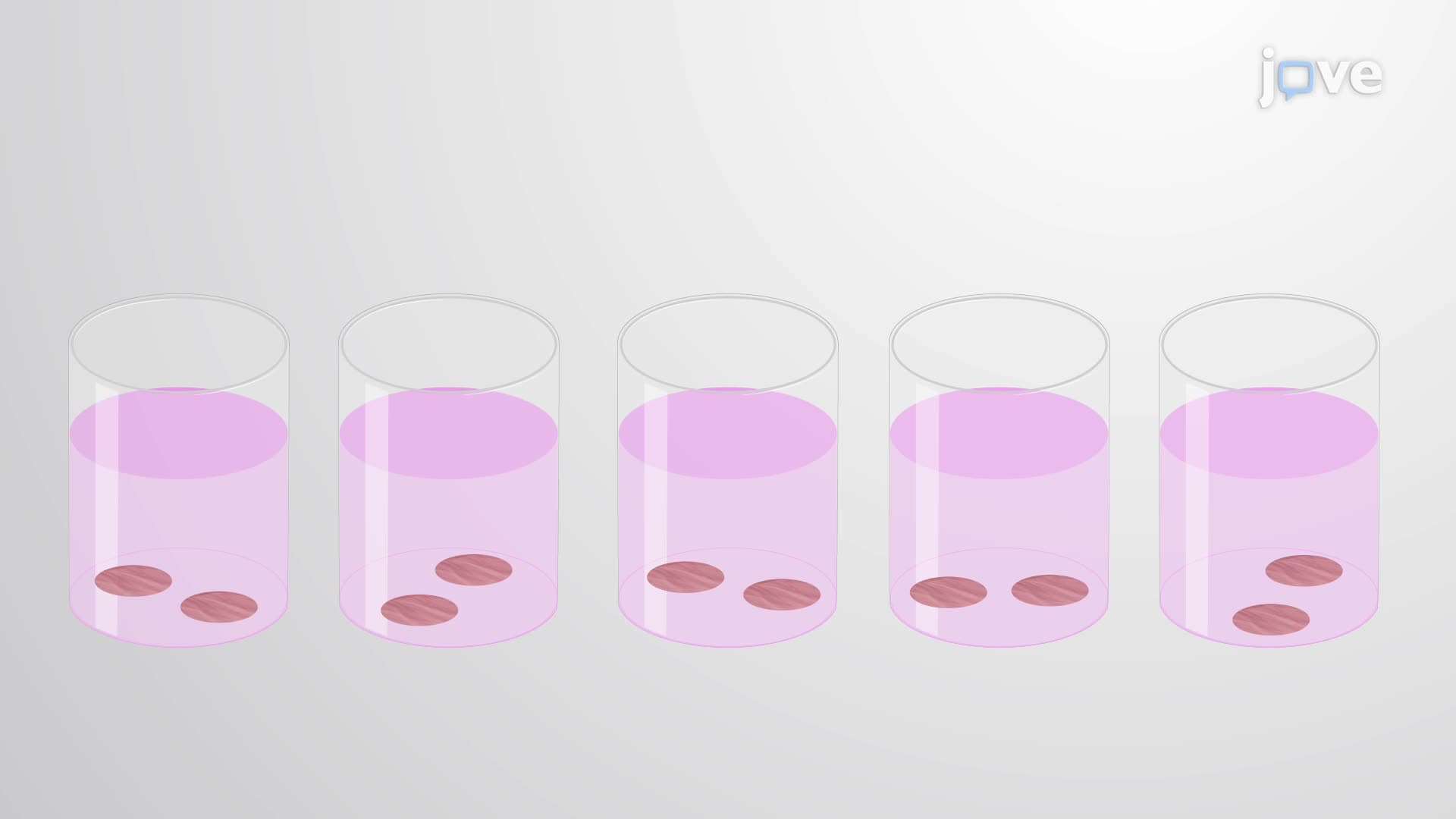 An Assay to Measure Chemically-Induced Cytotoxicity in Human Precision-Cut Lung Slices
