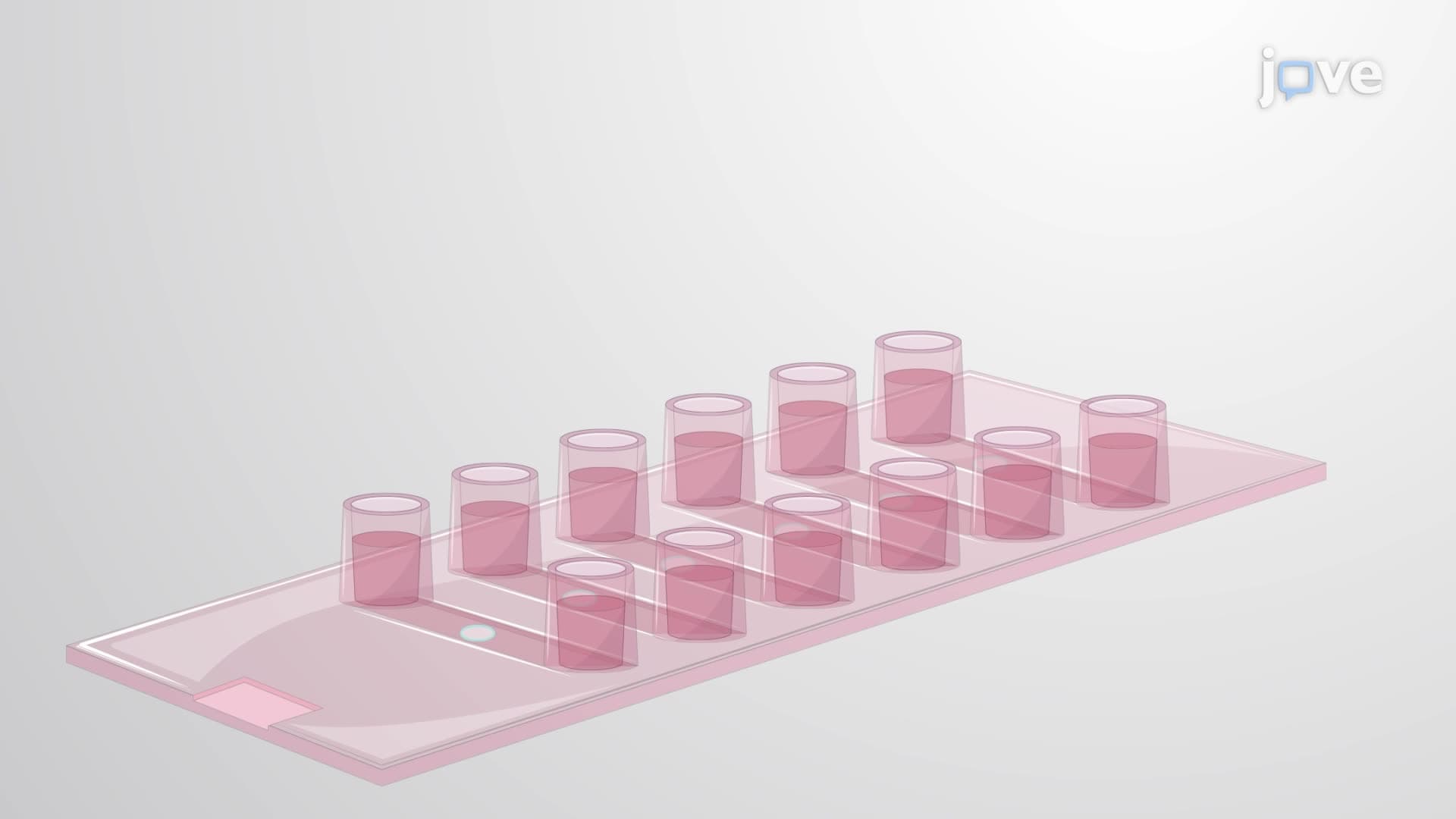 An In Vitro Technique to Study T Cell Interaction with Supported Planar Lipid Bilayers