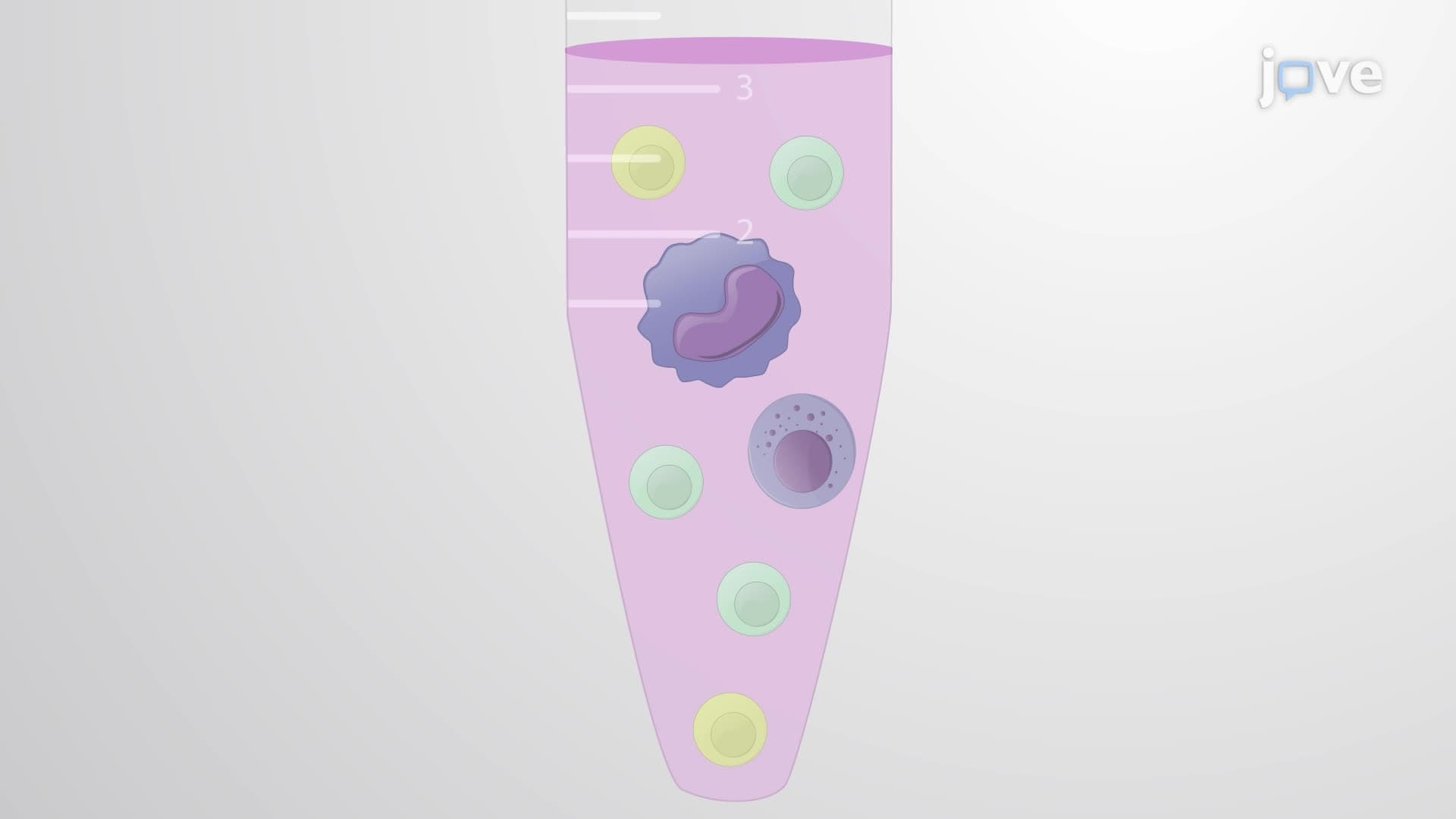 Monitoring B Cell Activation with Antigenic Liposomes using a Calcium-Flux Assay