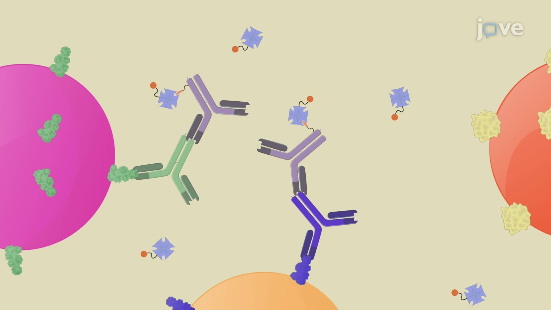 A Bead-Based Multiplex Immunoassay to Identify Pathogen-Specific Antibodies in Saliva
