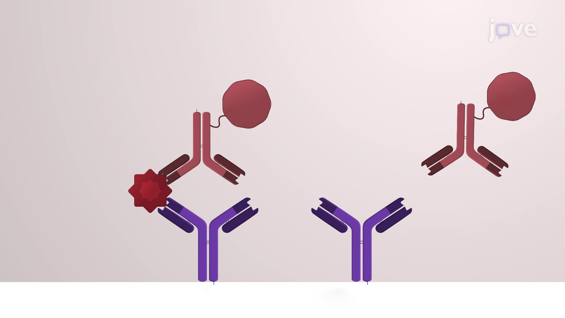 Quantification of Immune Mediator Levels in Human Mucosal Lining Fluid