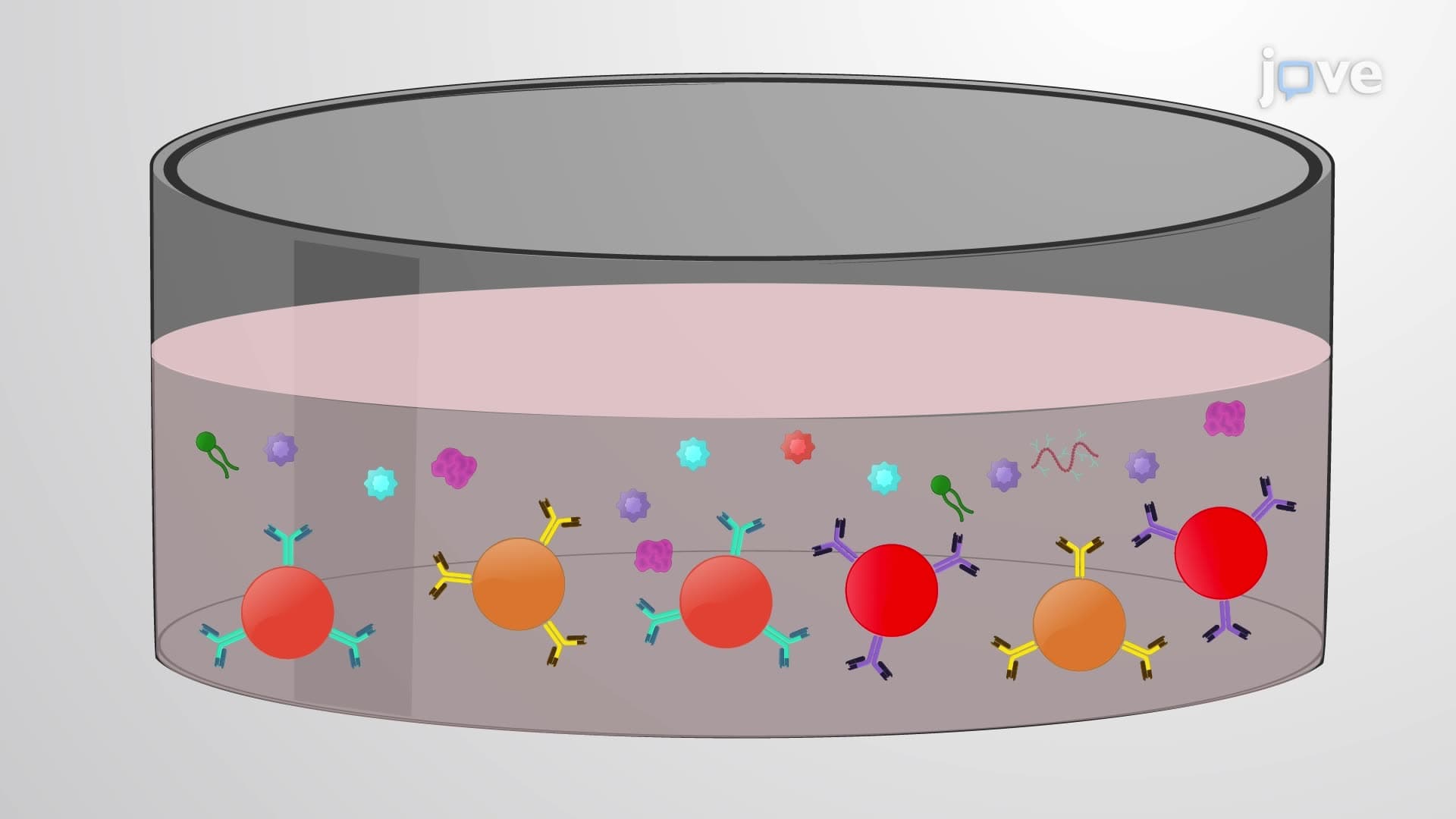 A Multiplex Bead-Based Assay for Analyzing Cytokines in Human Tear Samples