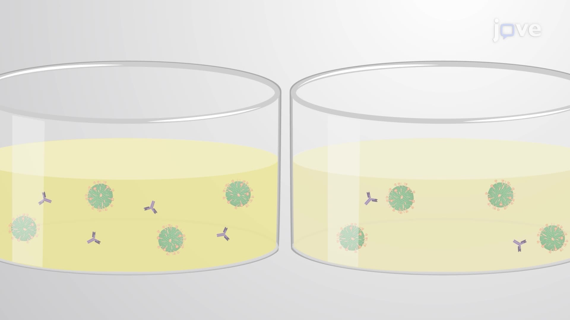 A Microneutralization Assay to Measure Neutralizing Antibody Titers in Human Serum