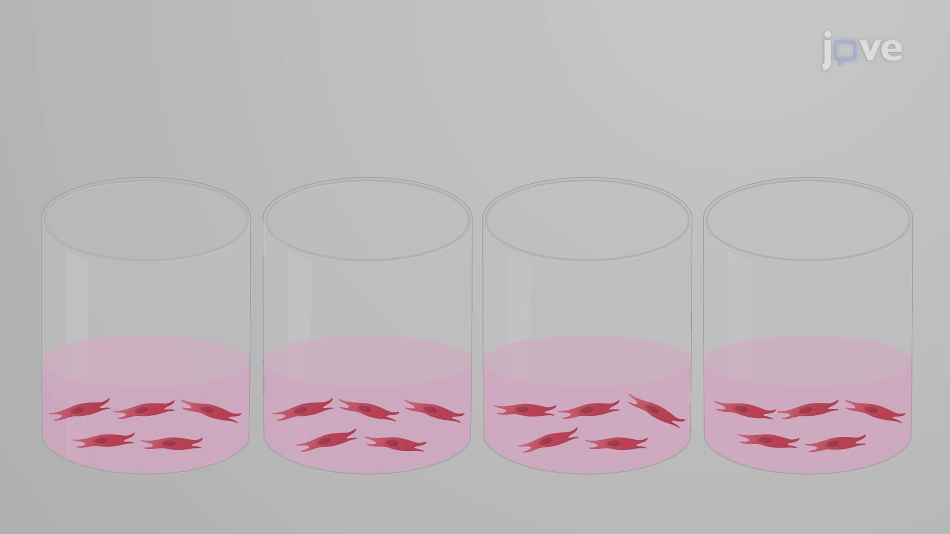 An In Vitro Method to Determine the Anti-Apoptotic Activity of Antibodies against TNF&alpha;
