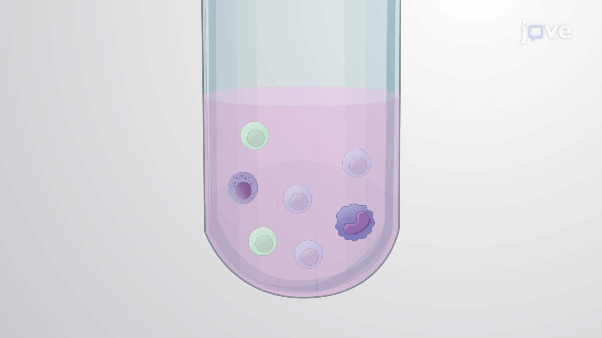 A Peptide-MHC-I Tetramer Staining Technique to Analyze SIV-Specific CD8+ Memory T Cells