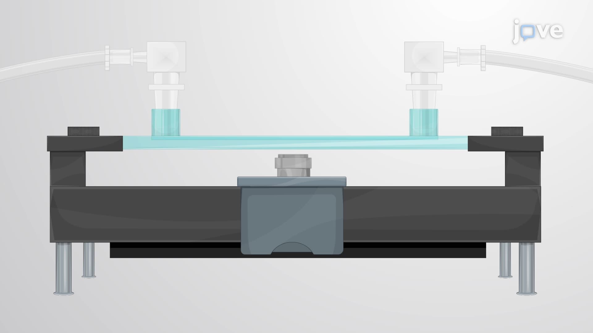 A Laminar Flow-Based Assay to Study the Interactions Between Leukocytes and Endothelial Cells