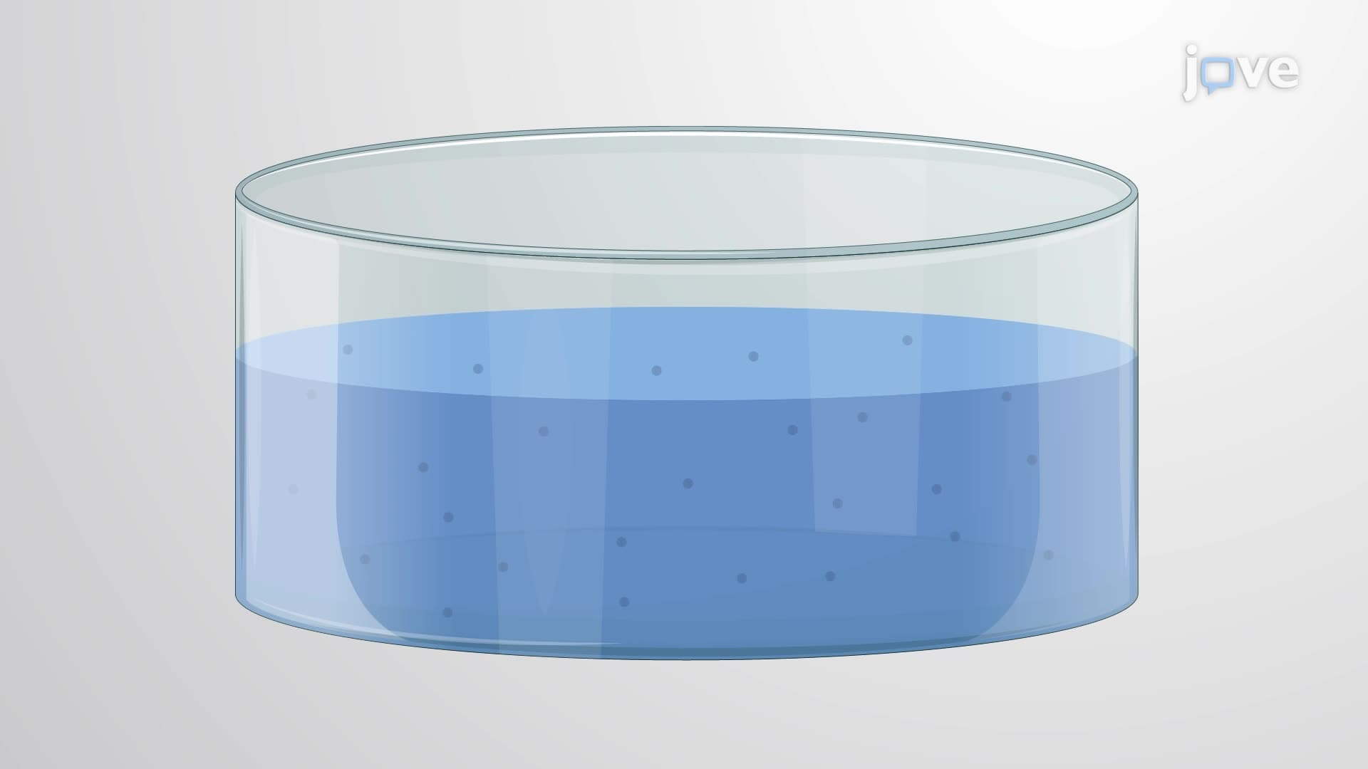 A Dye Release Assay to Quantify Enzymatic Activity of Antimicrobial Proteins