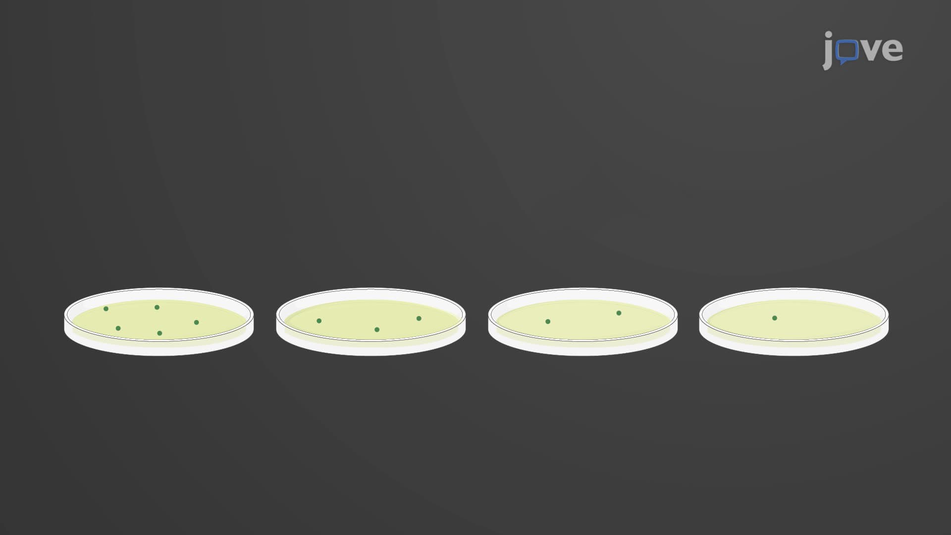 A Riboflavin and UV Light Treatment of Platelet Products to Eliminate Bacteria