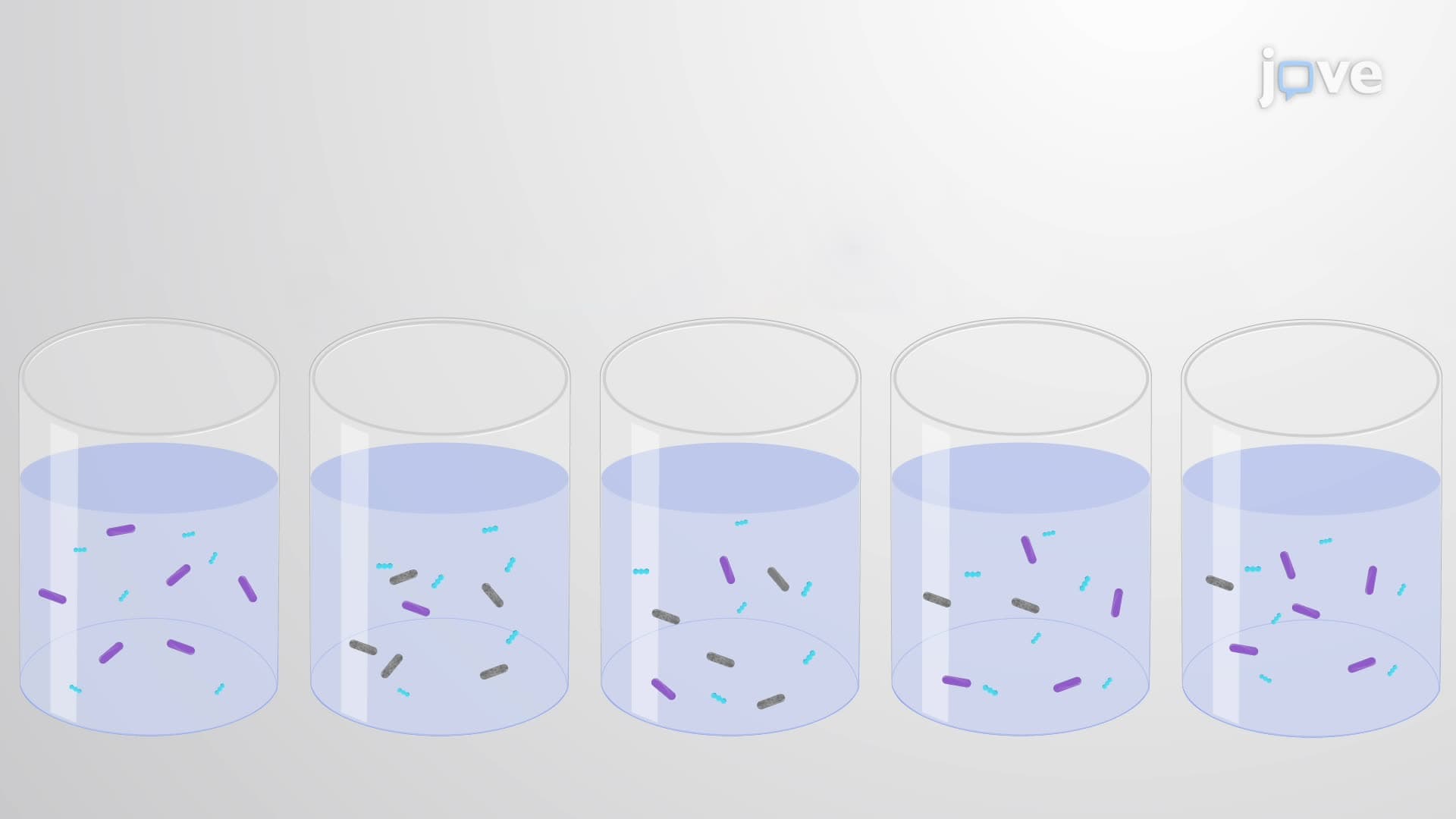 Evaluating the Effectiveness of a Test Compound against Mycobacteria in Broth
