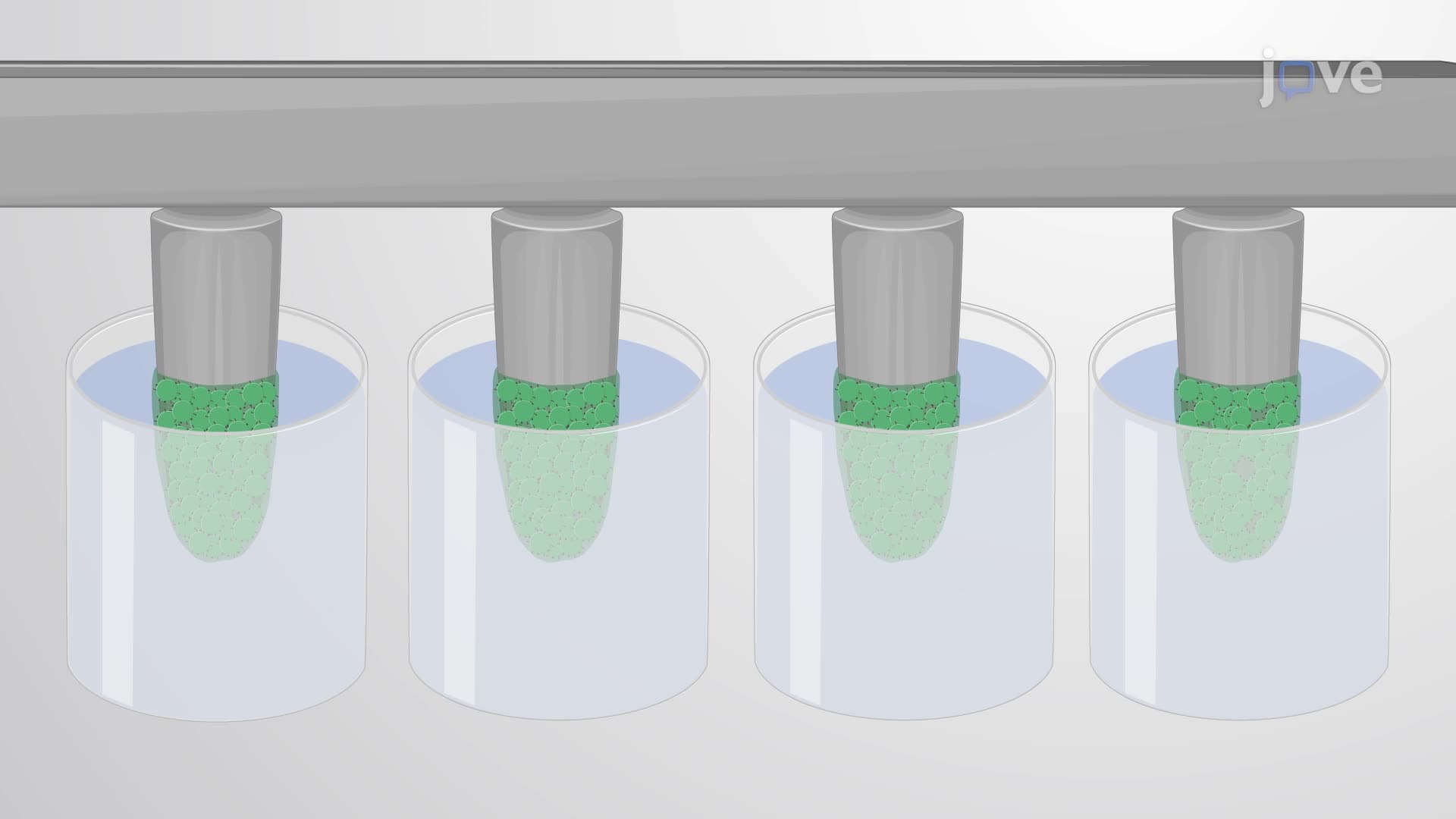 A Peg Plate Biofilm Assay for Screening Antibacterial Agents