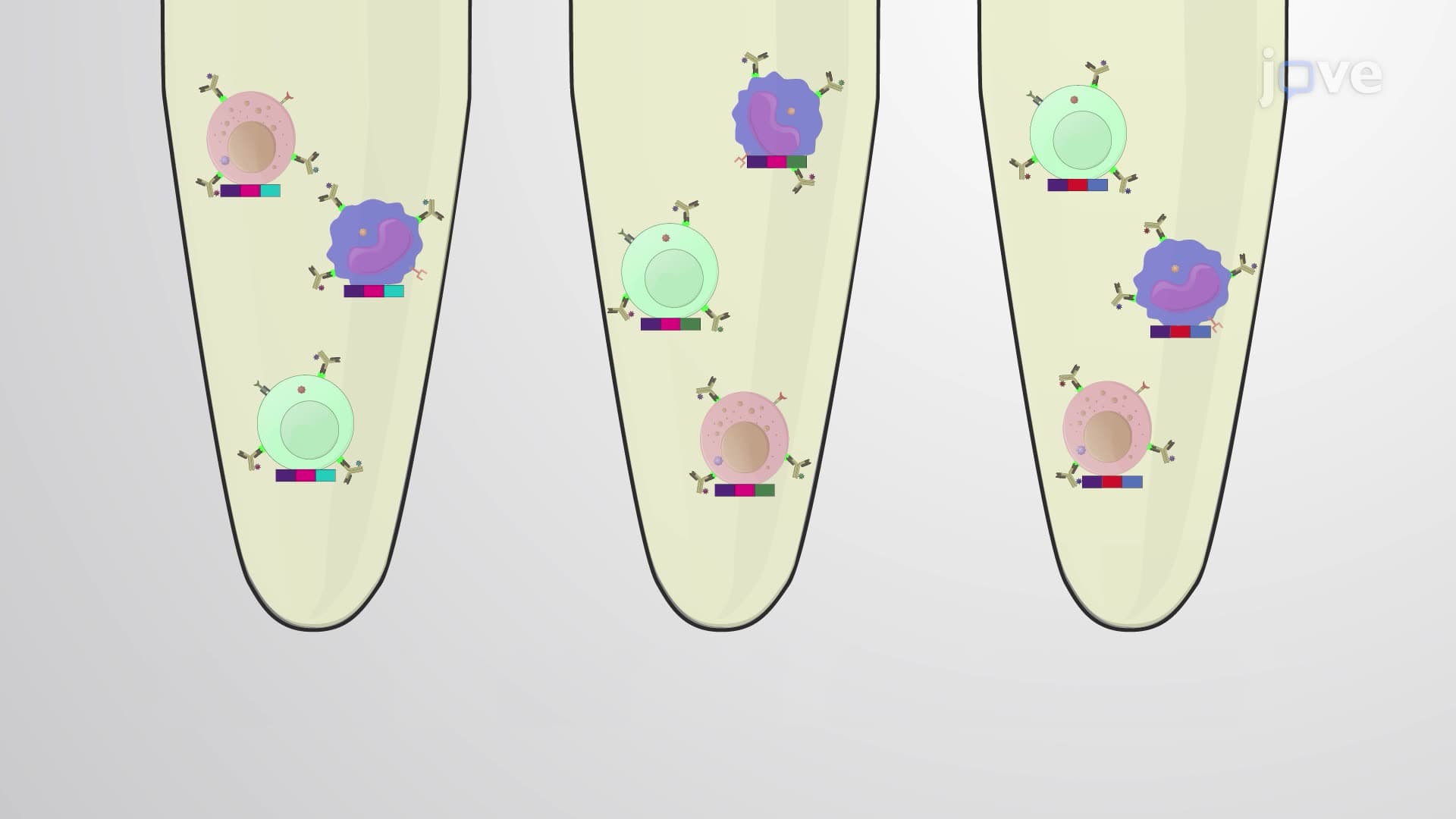A Barcoding Assay for Phenotypic and Functional Characterization of Immune Cells
