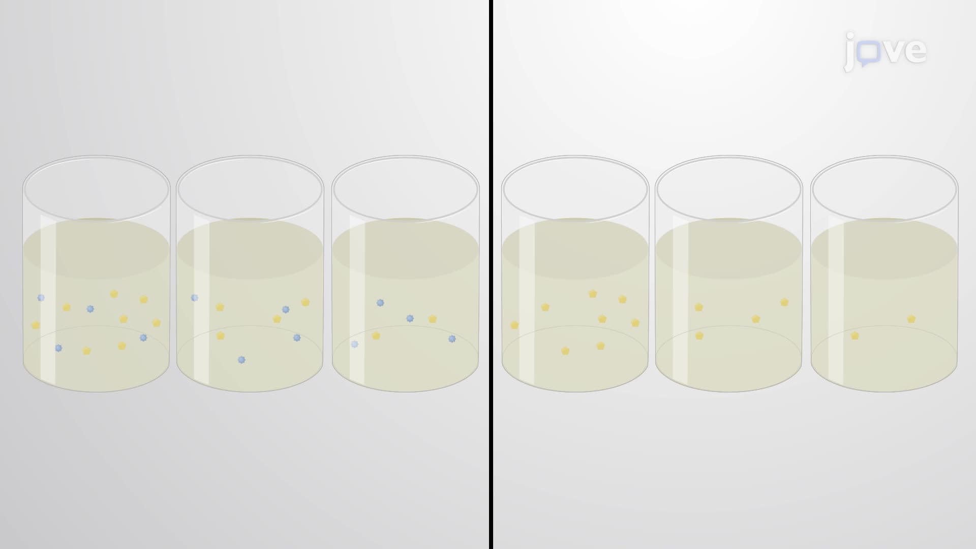 A Microtiter Plate Method to Assess the Minimum Inhibitory Concentration of an Antibiotic