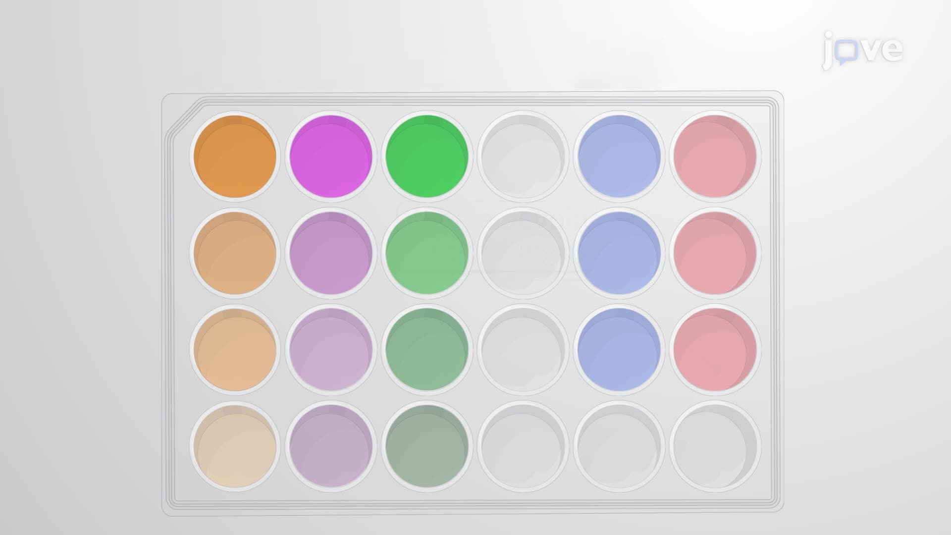 An In Vitro Broth Microdilution Assay for the Screening of Antifungal Compounds