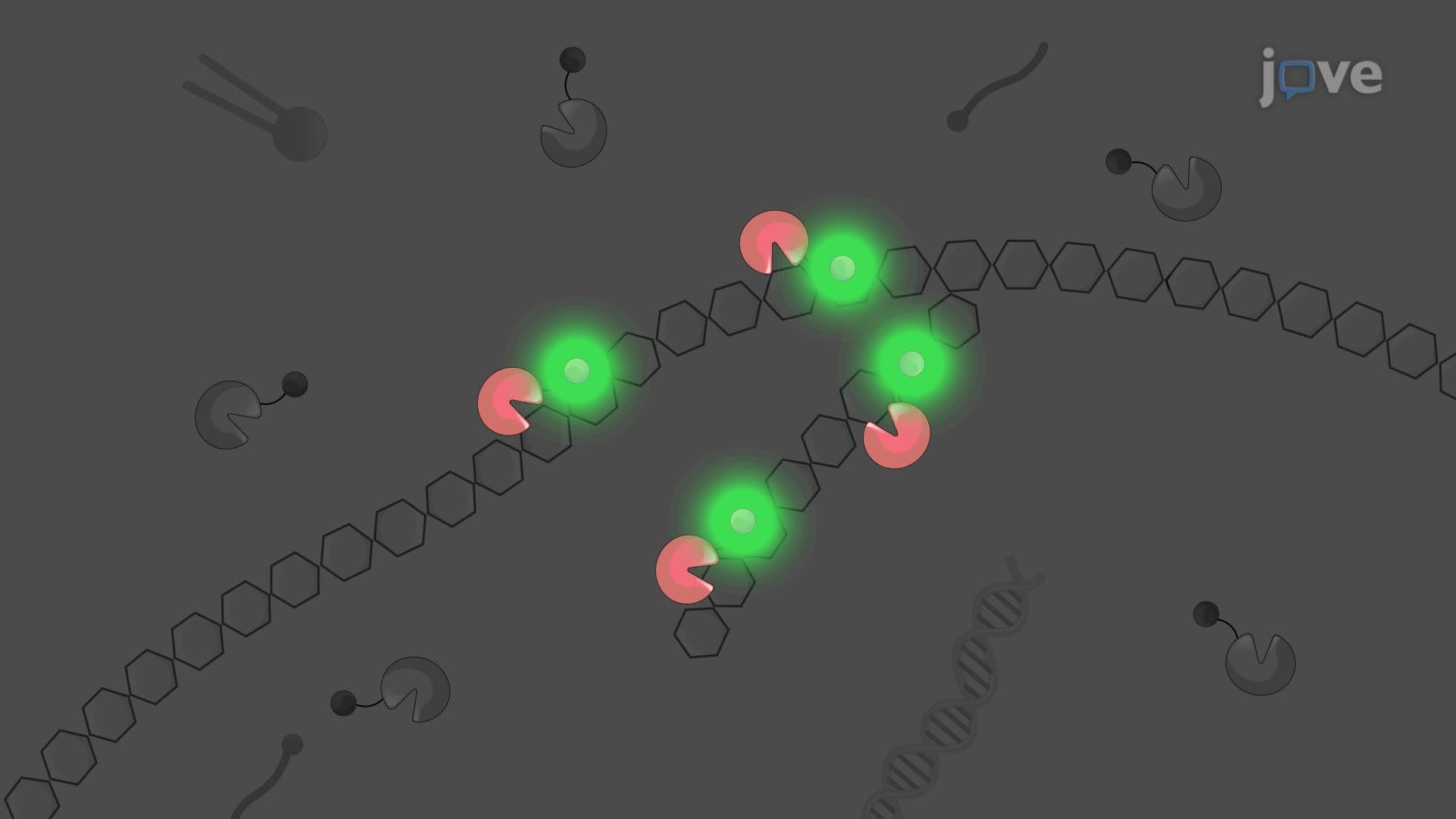 An Assay to Study Bile-Salt Induced Biofilm Formation through EPS Matrix Detection