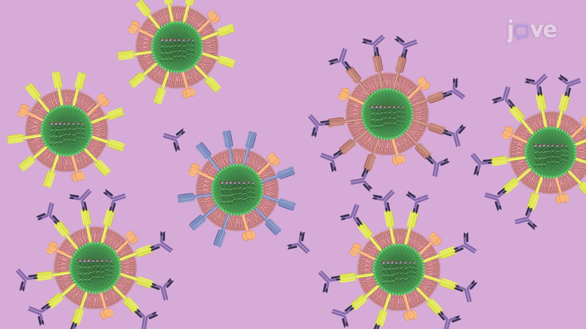 Generation of Influenza Virus Escape Variants against Neutralizing Antibodies