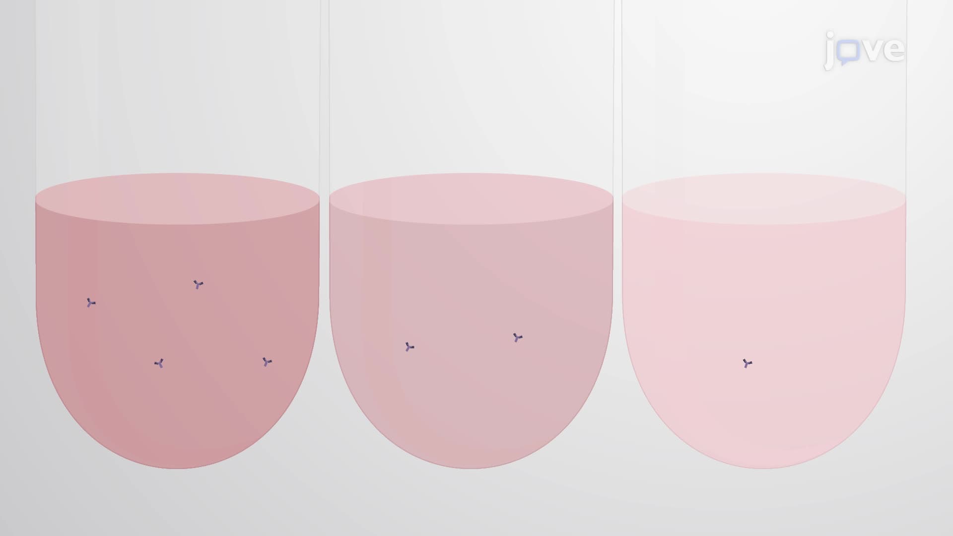 An Assay to Measure the Neutralizing Antibody Titer Specific for Respiratory Syncytial Virus