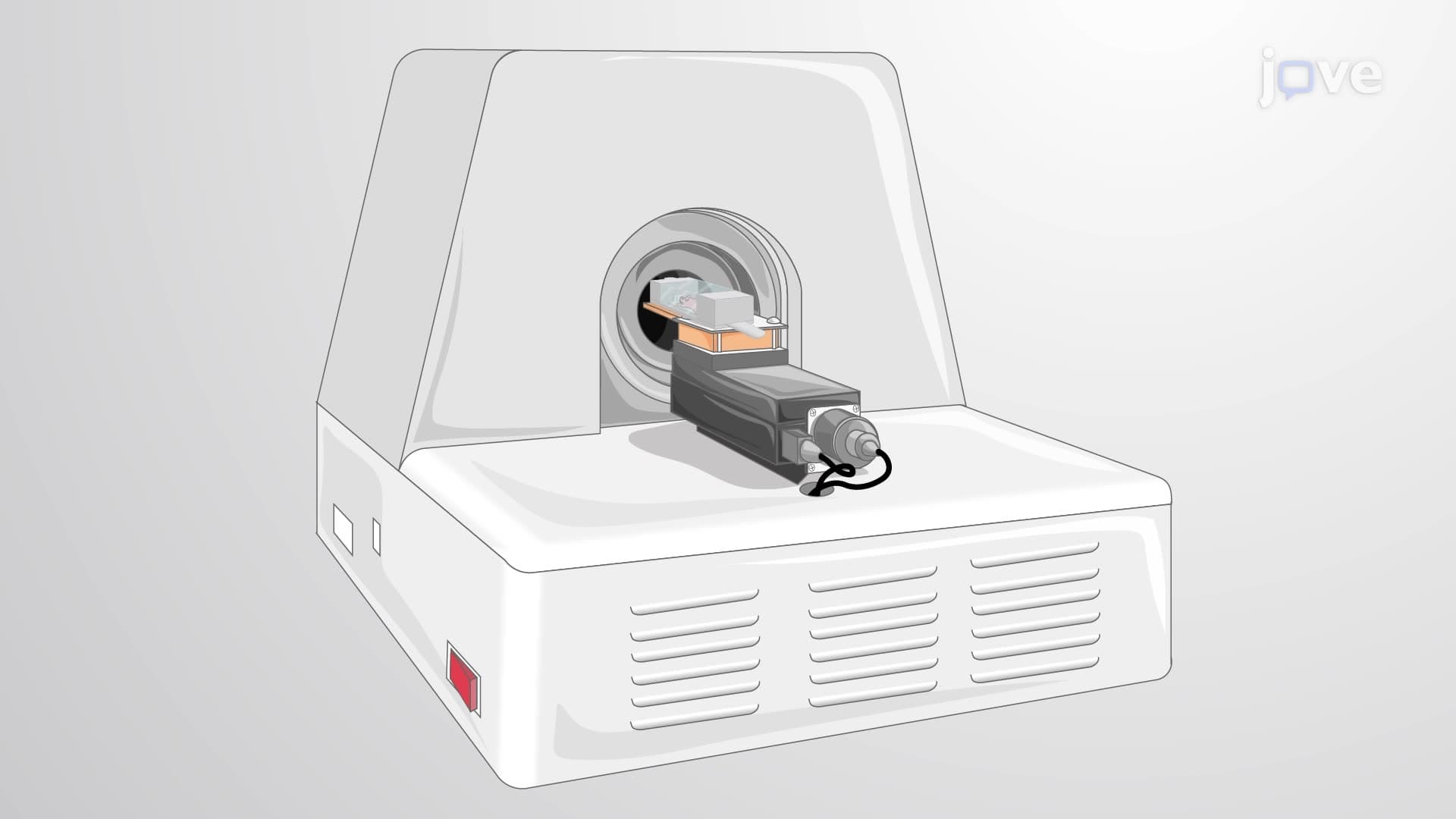 An In Vivo PET Imaging Technique to Detect Tumors in a Murine Model Using Radiolabeled Antibodies