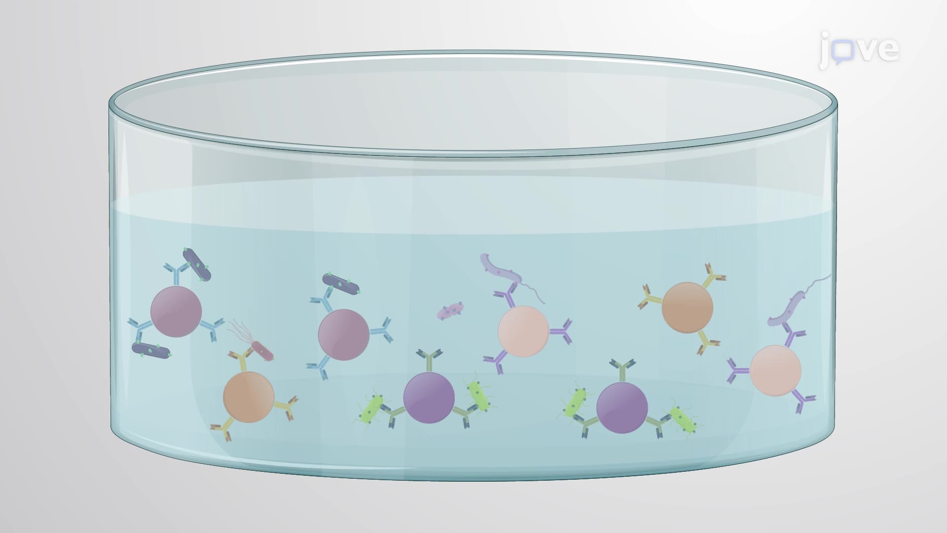 Multiplexed Quantitative Bacterial Detection using Dye-Labeled Magnetic Microspheres