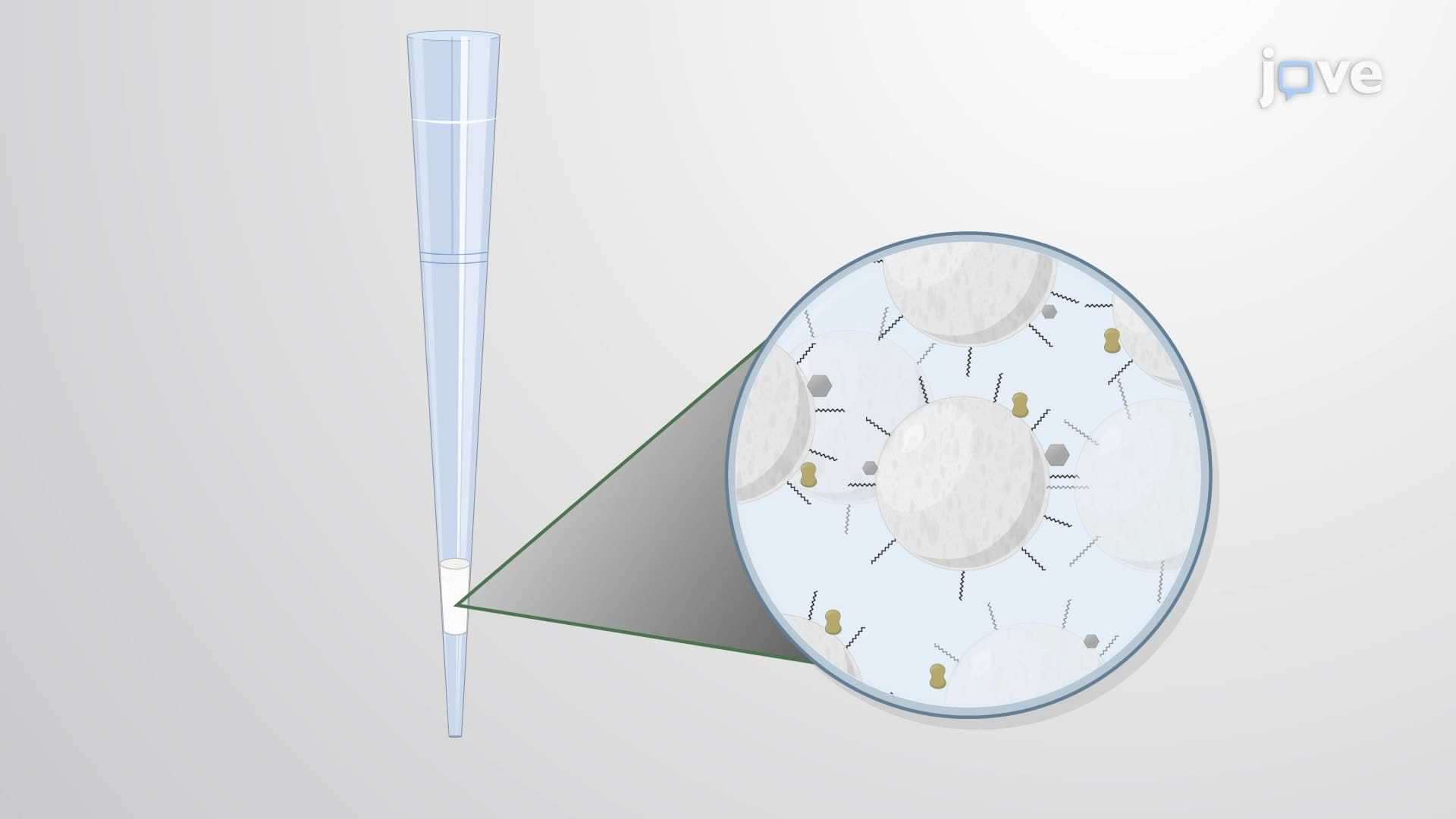 A STAGE Tip Procedure for Desalting and Purification of Peptides