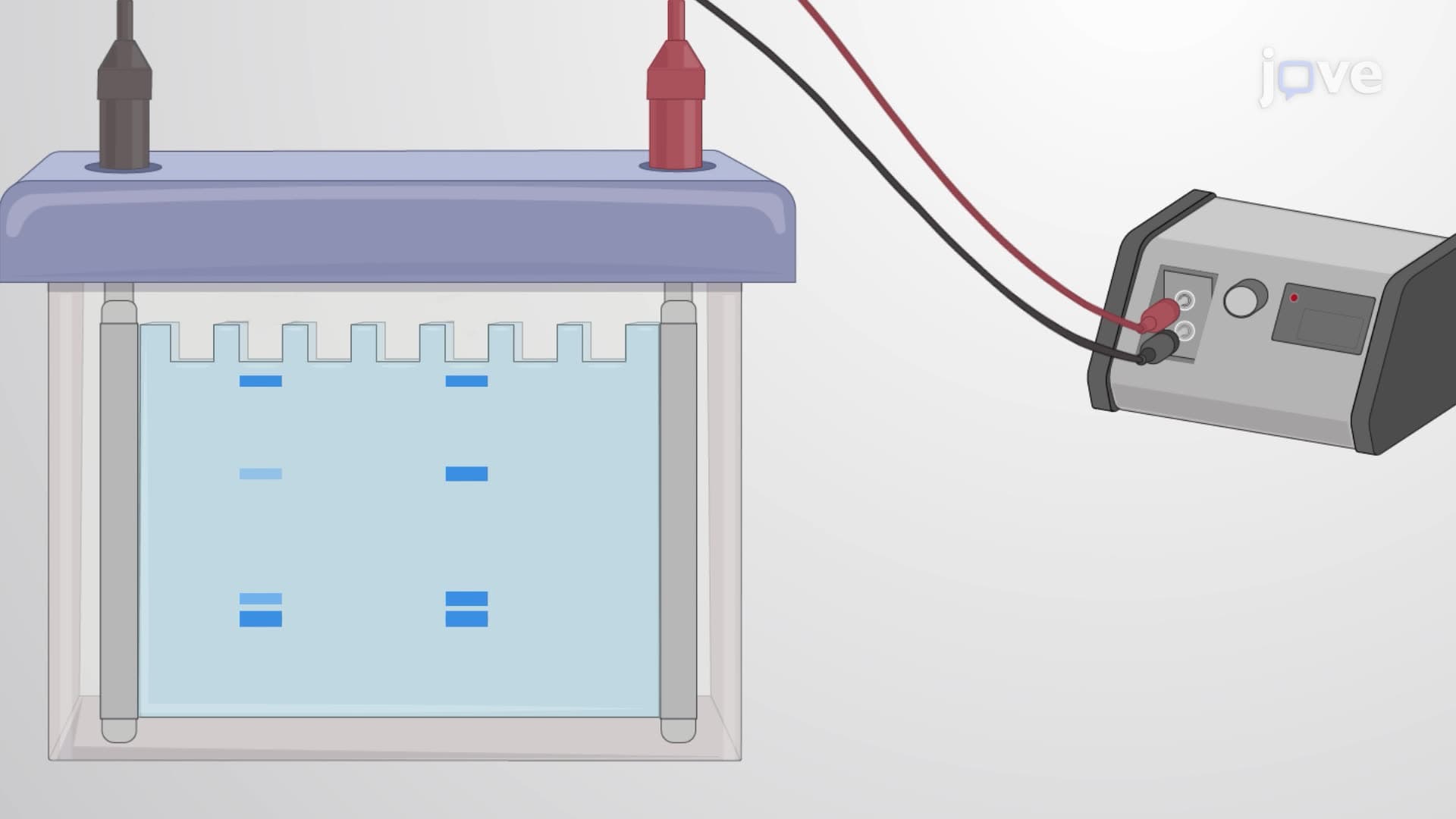 Assessing Caspase-Mediated Cleavage of Viral and Host Proteins in Virus-Infected Cells
