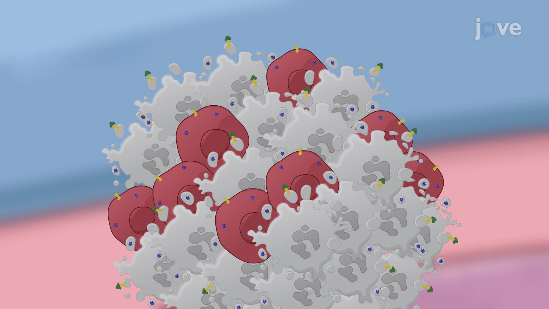 A Near-Infrared Photoimmunotherapy Technique to Treat Lung Cancer in a Murine Model