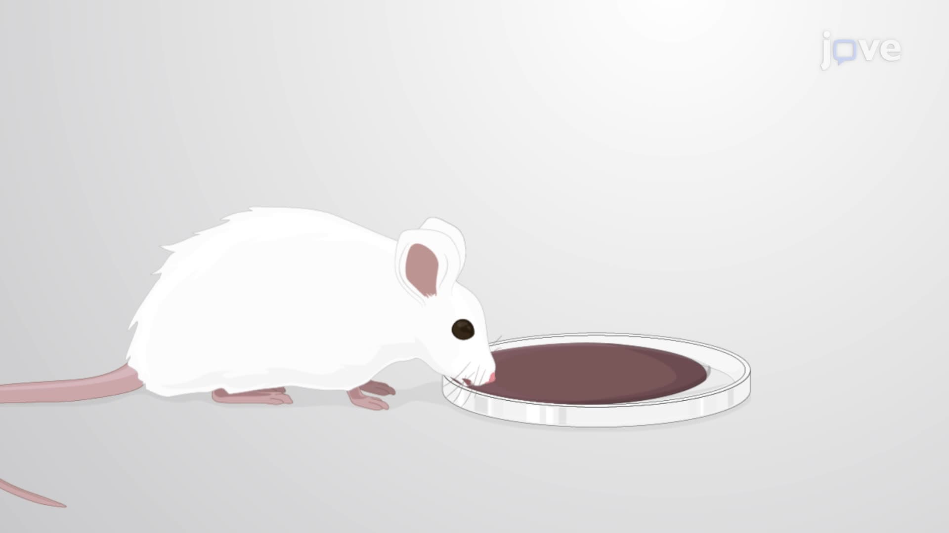 Oral Combinational Antiretroviral Therapy to Treat HIV-1 Infection in a Humanized Mouse Model