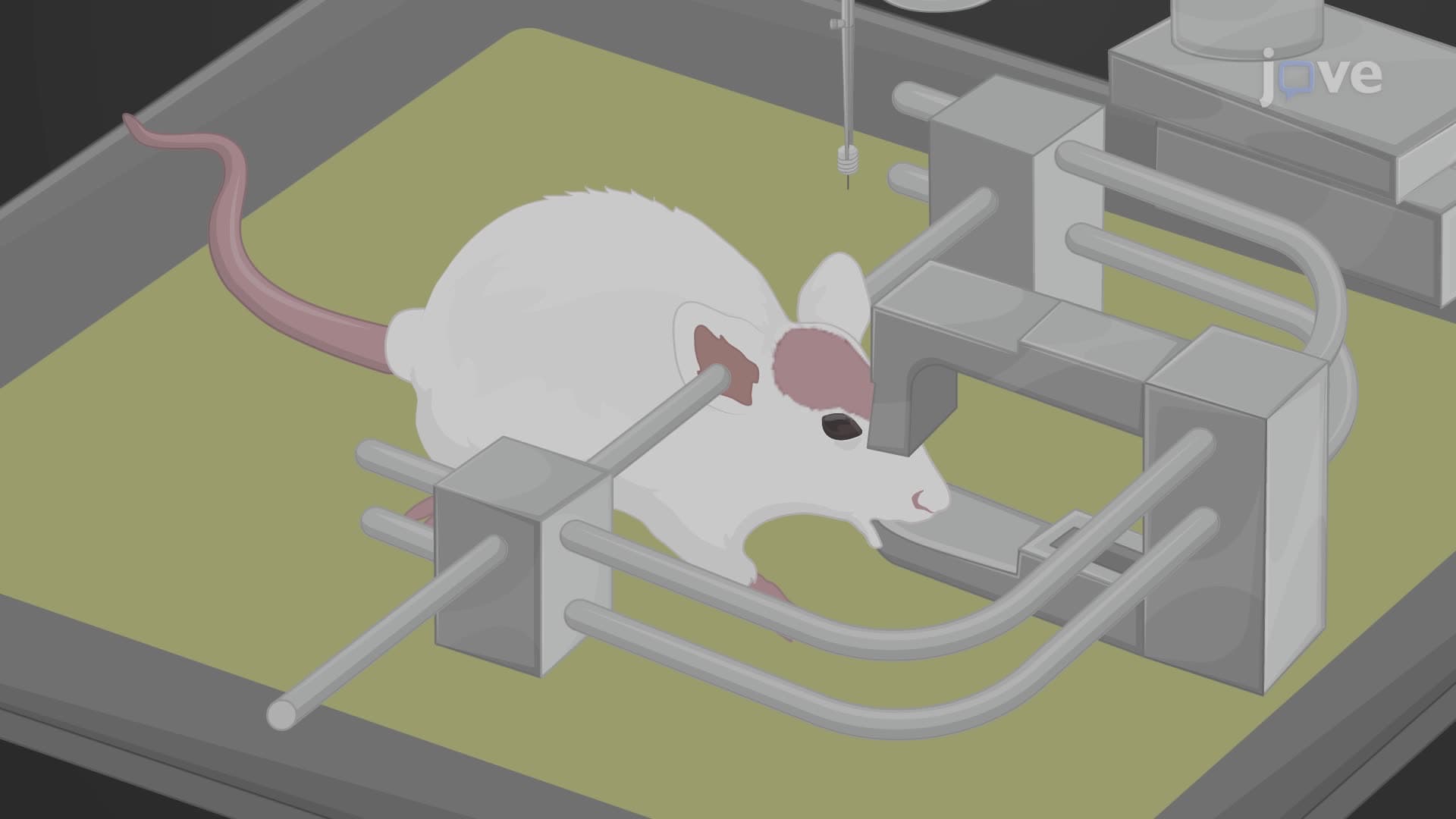Intracranial Cannular Implantation in a Mouse to Deliver Therapeutic Agents to Brain Tumors