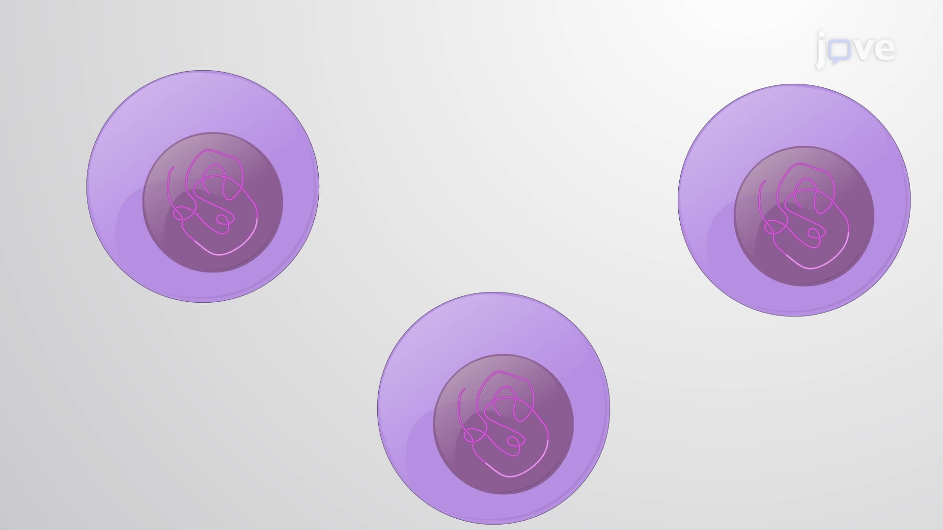 Genetically Modifying CAR T Cells Using a CRISPR-Cas9 System