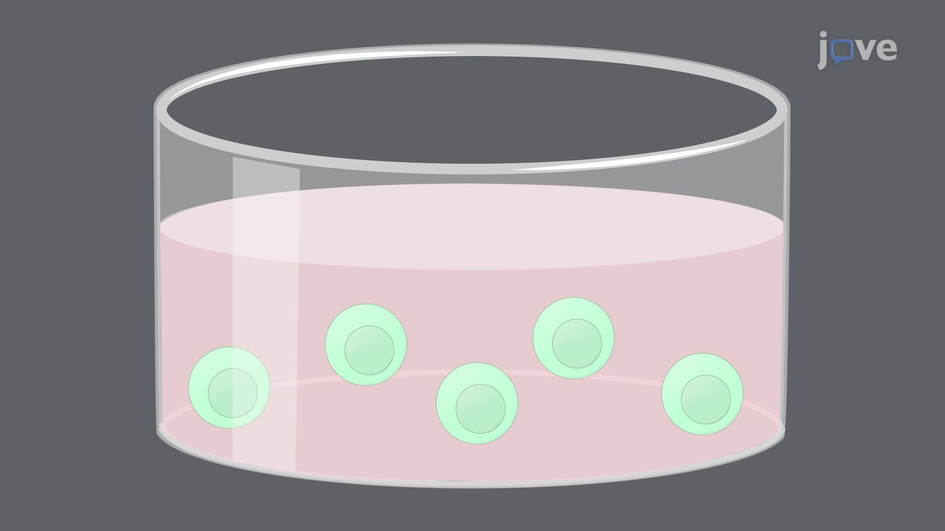A CRISPR-Cas9 Technique for Gene Editing in T Cells