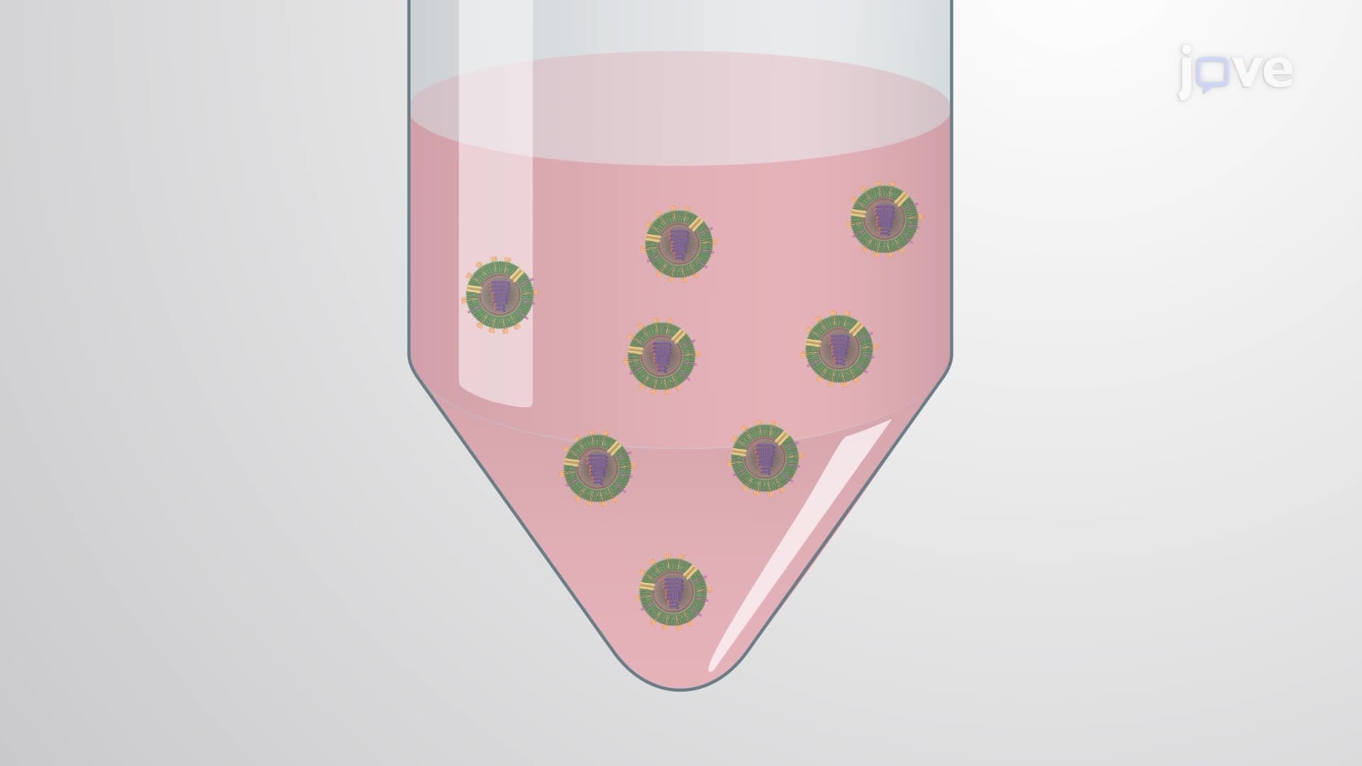 Generating  Recombinant Live-Attenuated Influenza Viruses for Vaccines