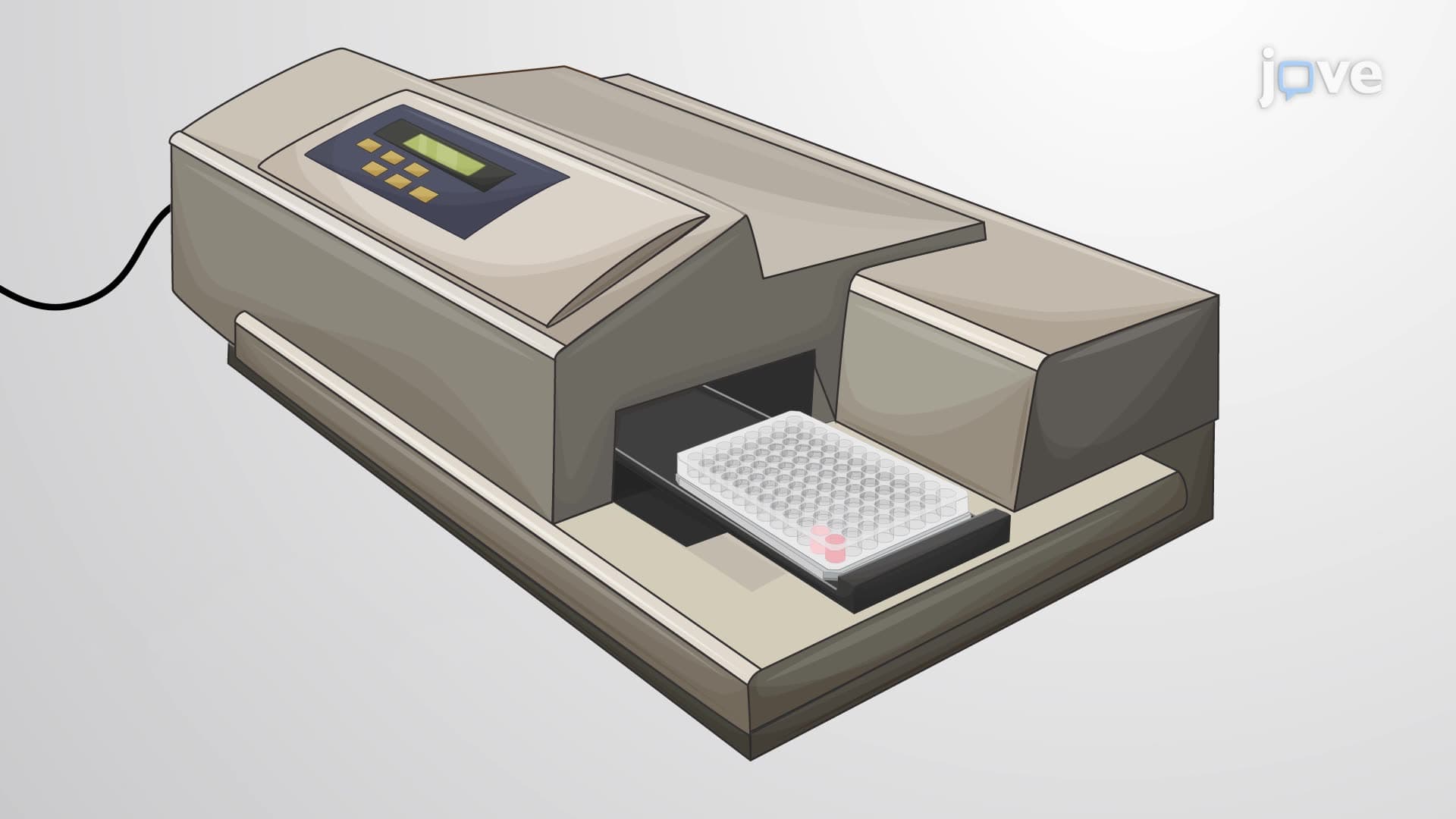 An In Vitro Assay for Evaluating Natural Killer Cell Cytotoxicity against Cancer Cells