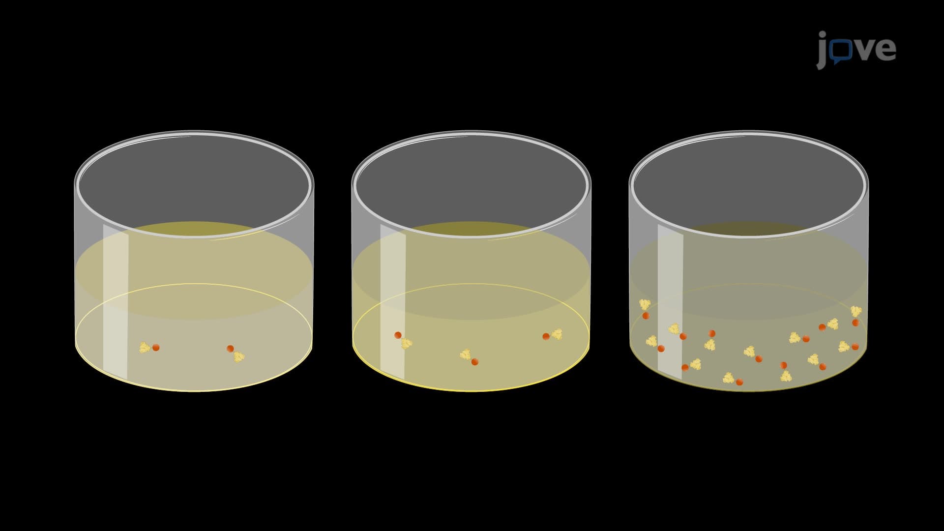 A Technique to Generate a Novel Delivery Platform for a Delayed Burst Release of Molecules