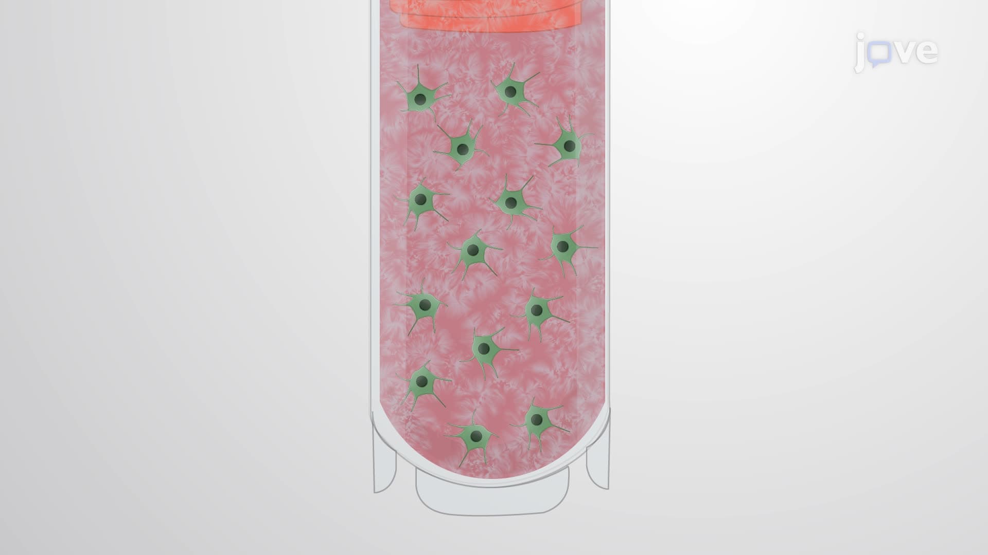 Generating a Low-Density Primary Neuron Culture From Frozen Embryonic Neurons