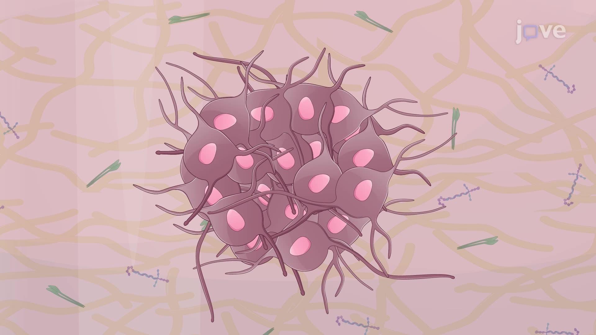 Generating Postganglionic Sympathetic Neurons from Human Pluripotent Stem Cells