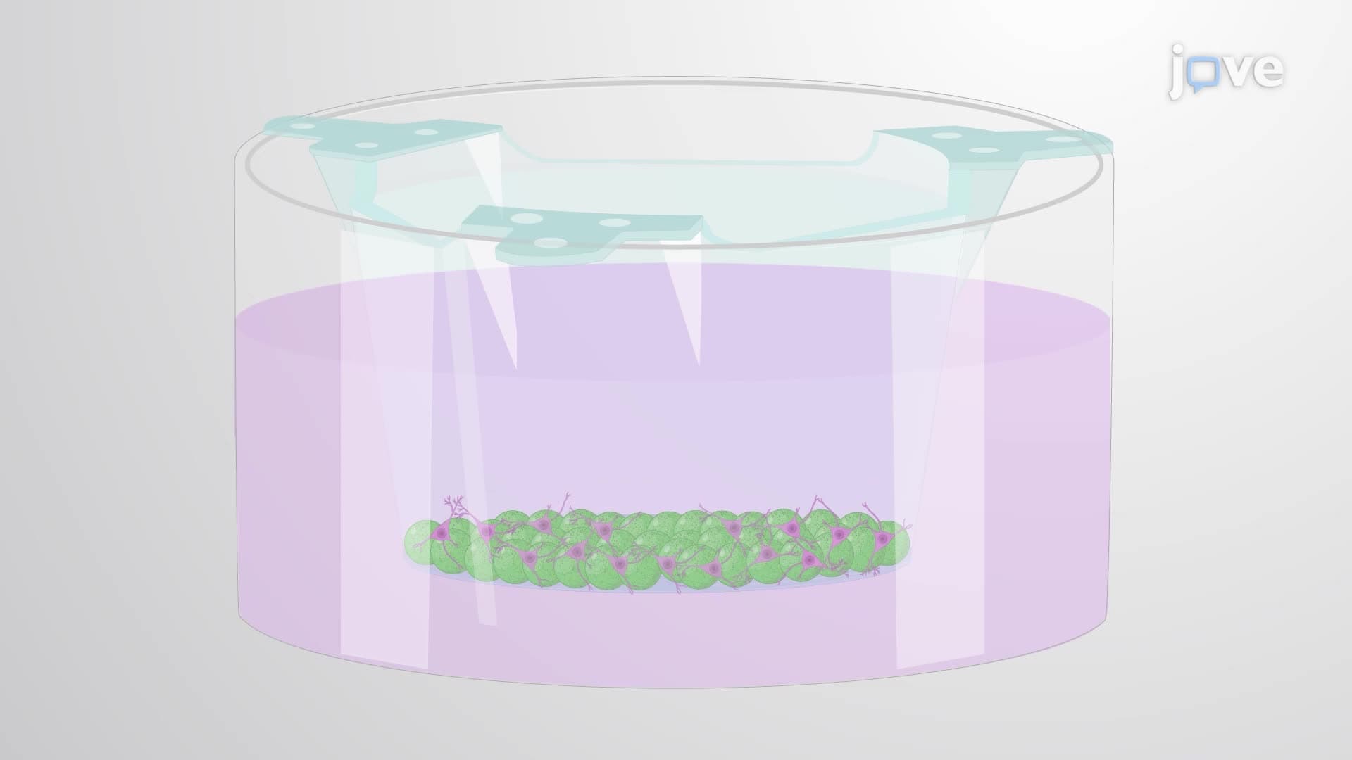 Building Three-Dimensional Neuronal Networks Coupled to Micro-Electrode Arrays
