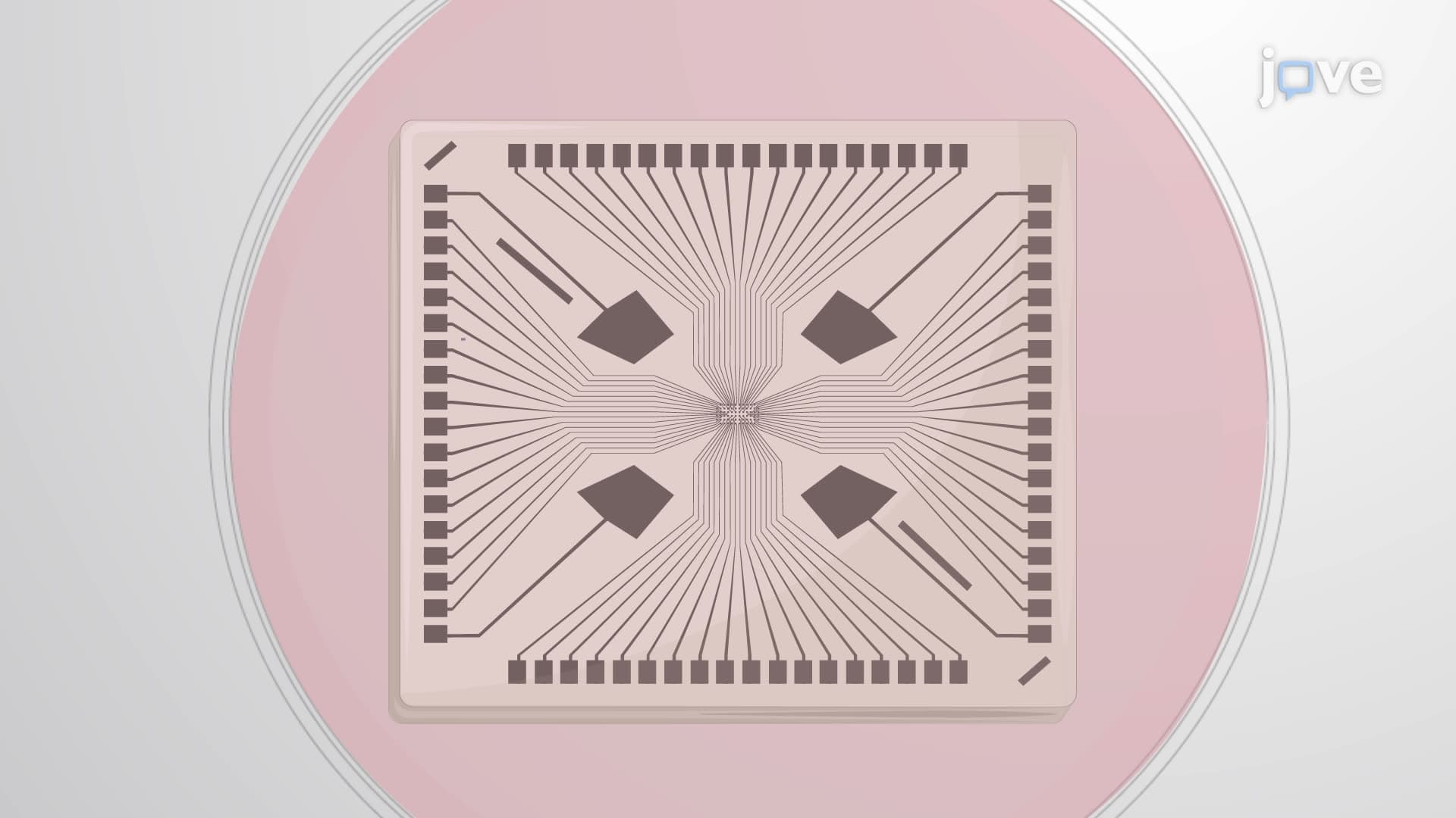 Culturing Murine Spiral Ganglion Neuron Explants on Multielectrode Arrays