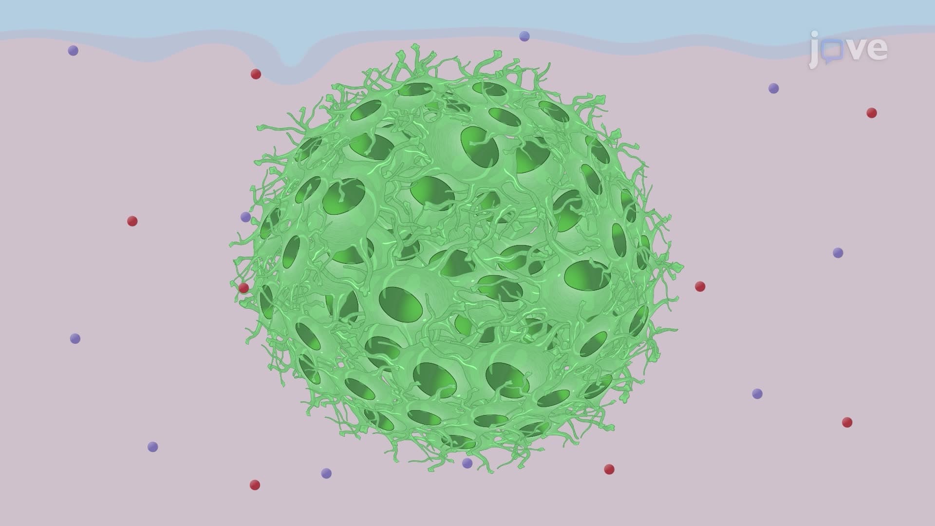 Generating and Maintaining Astrospheres Using Human Pluripotent Stem Cells