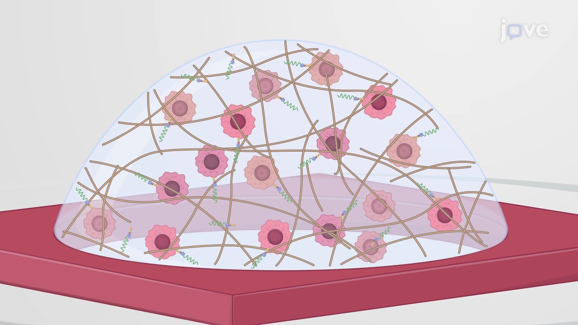 A Hyaluronic Acid-Based Hydrogel for 3-Dimensional Culture of Glioblastoma Cells